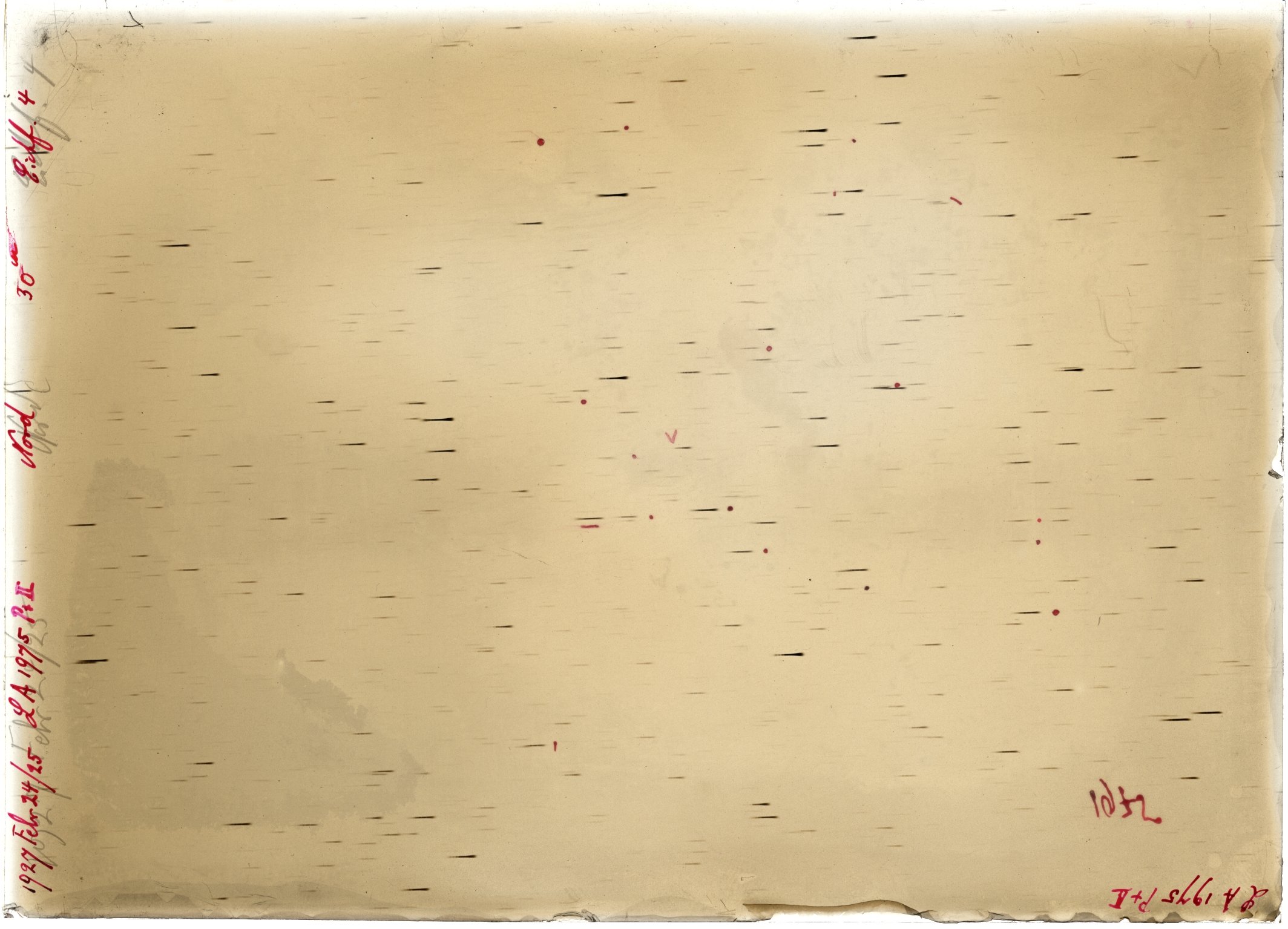 Scan LA01975