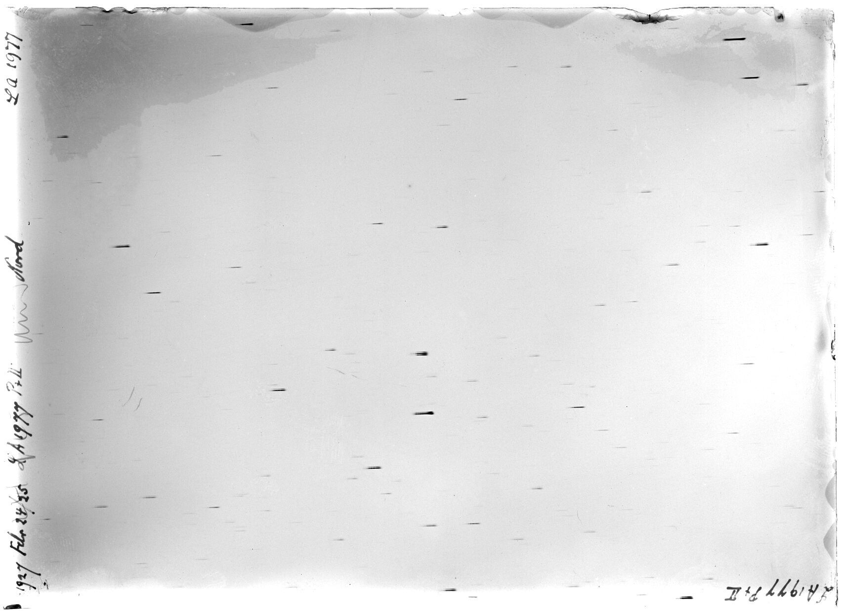Scan LA01977