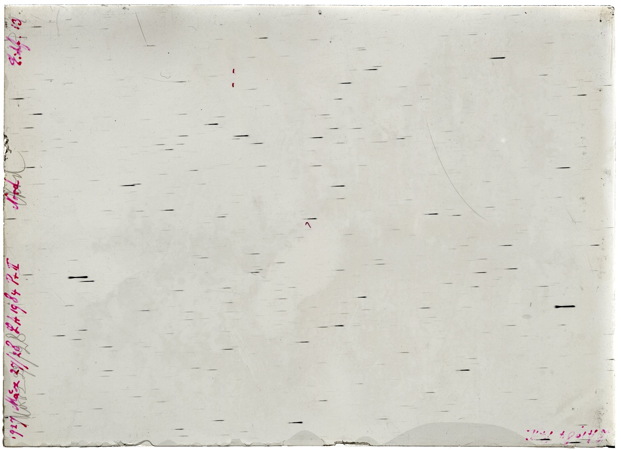 Scan LA01984