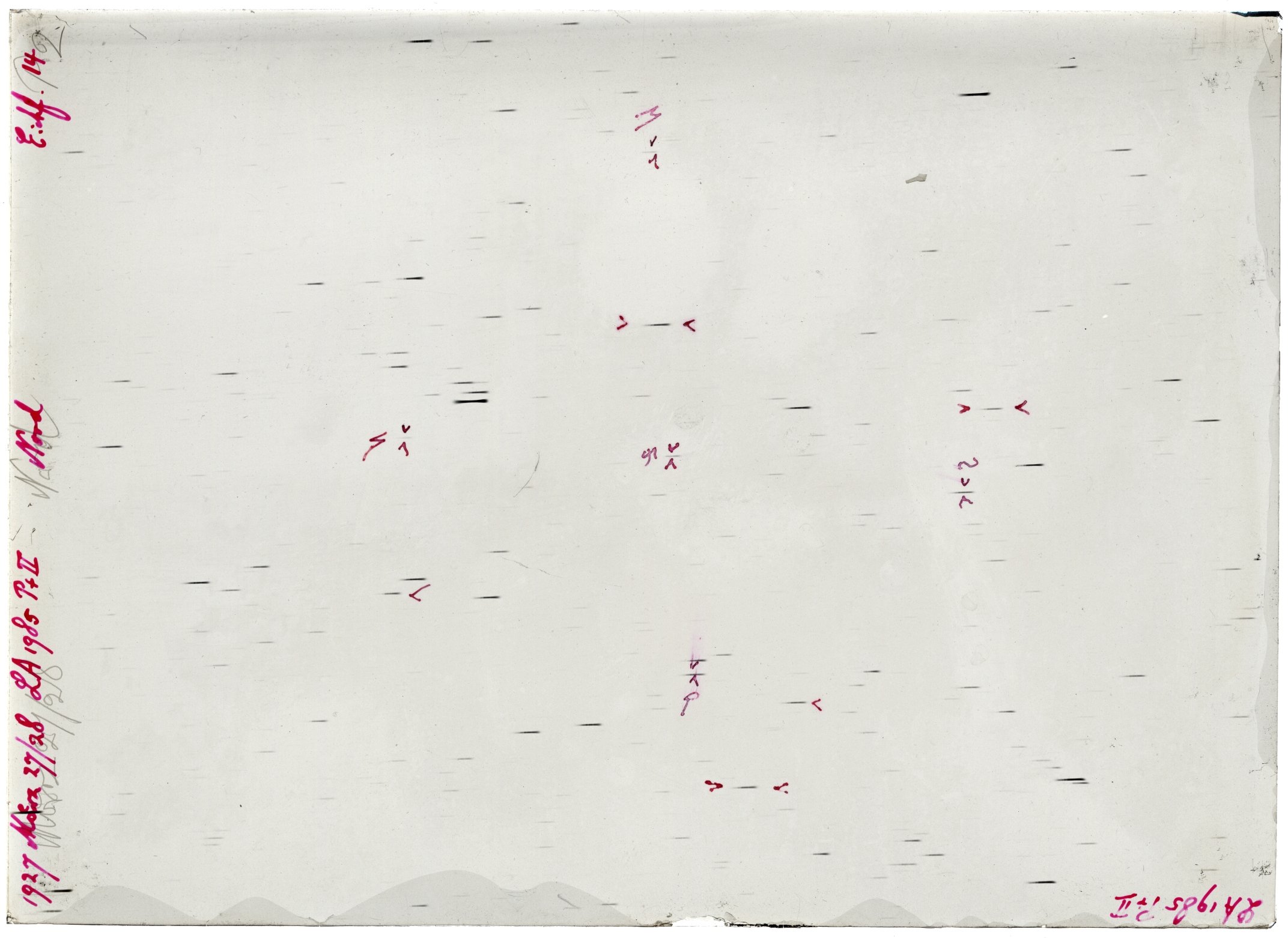 Scan LA01985