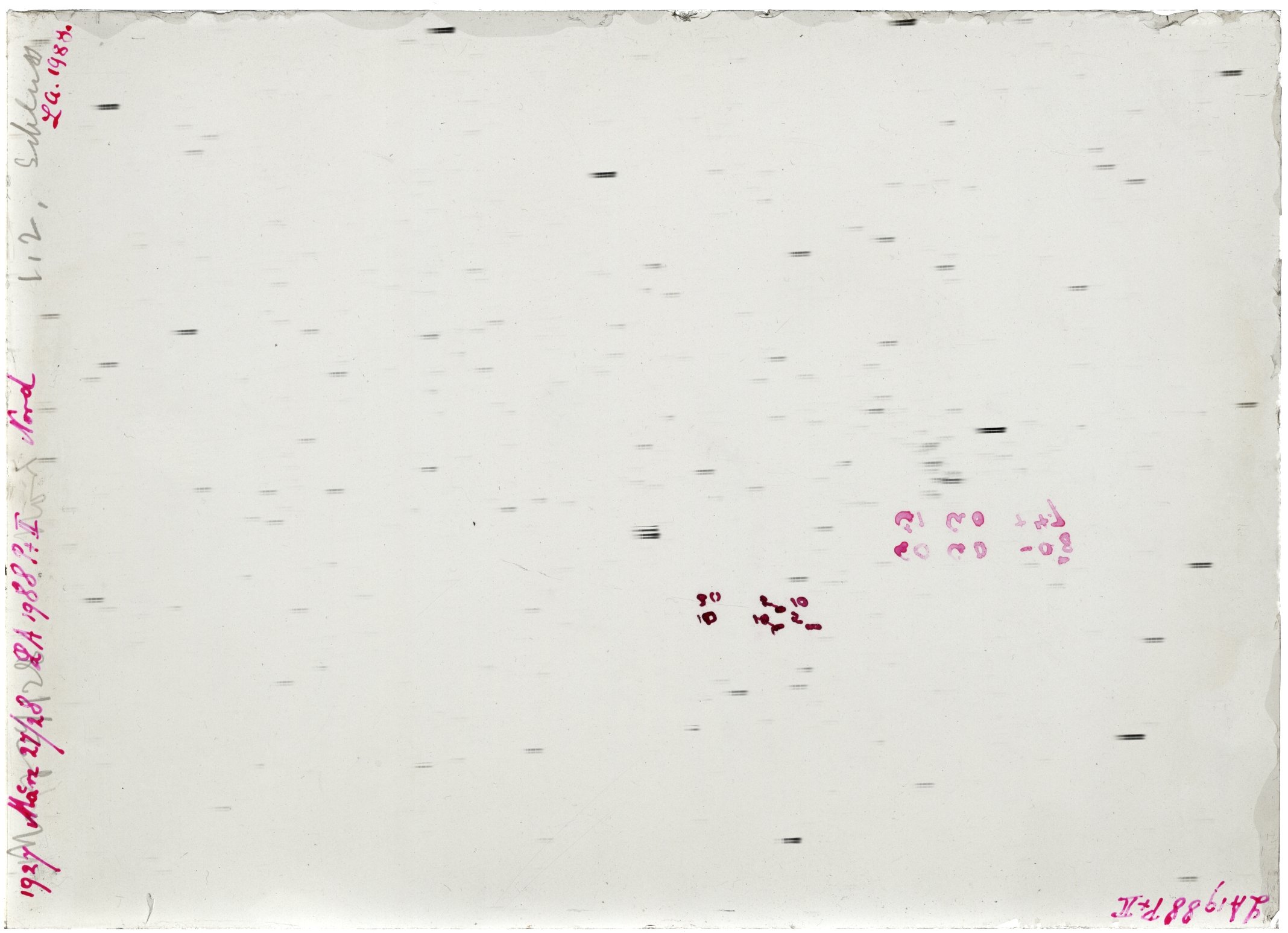 Scan LA01988
