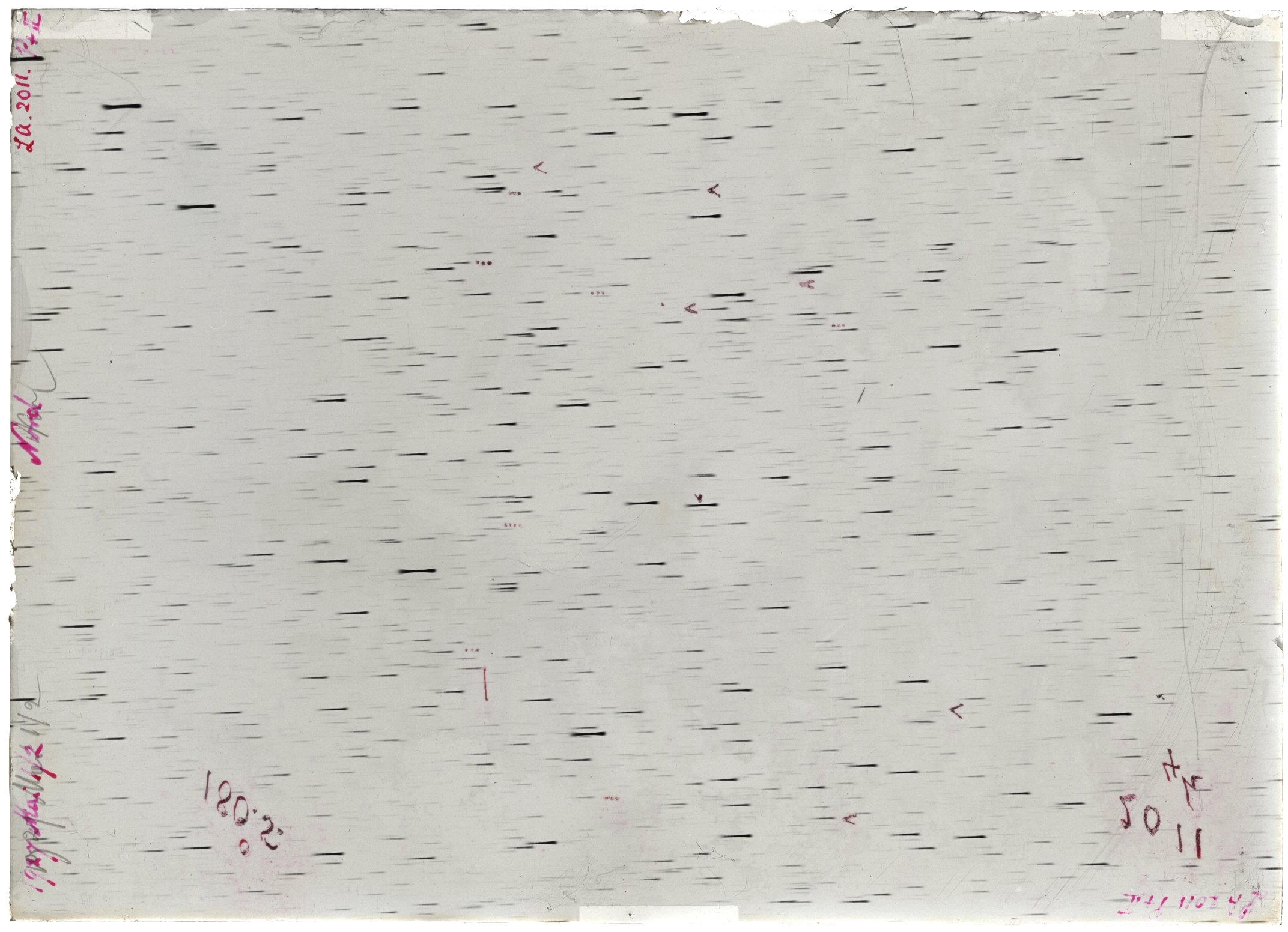 Scan LA02011