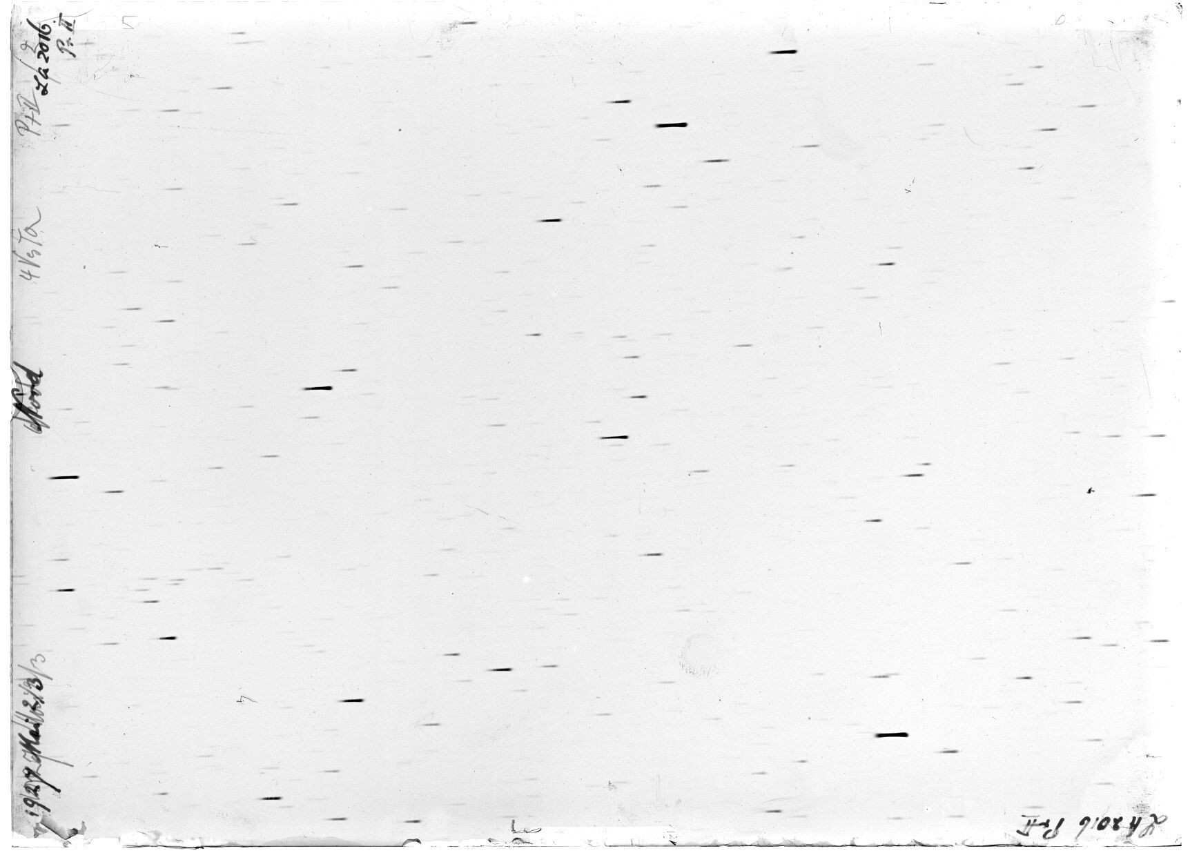 Scan LA02016