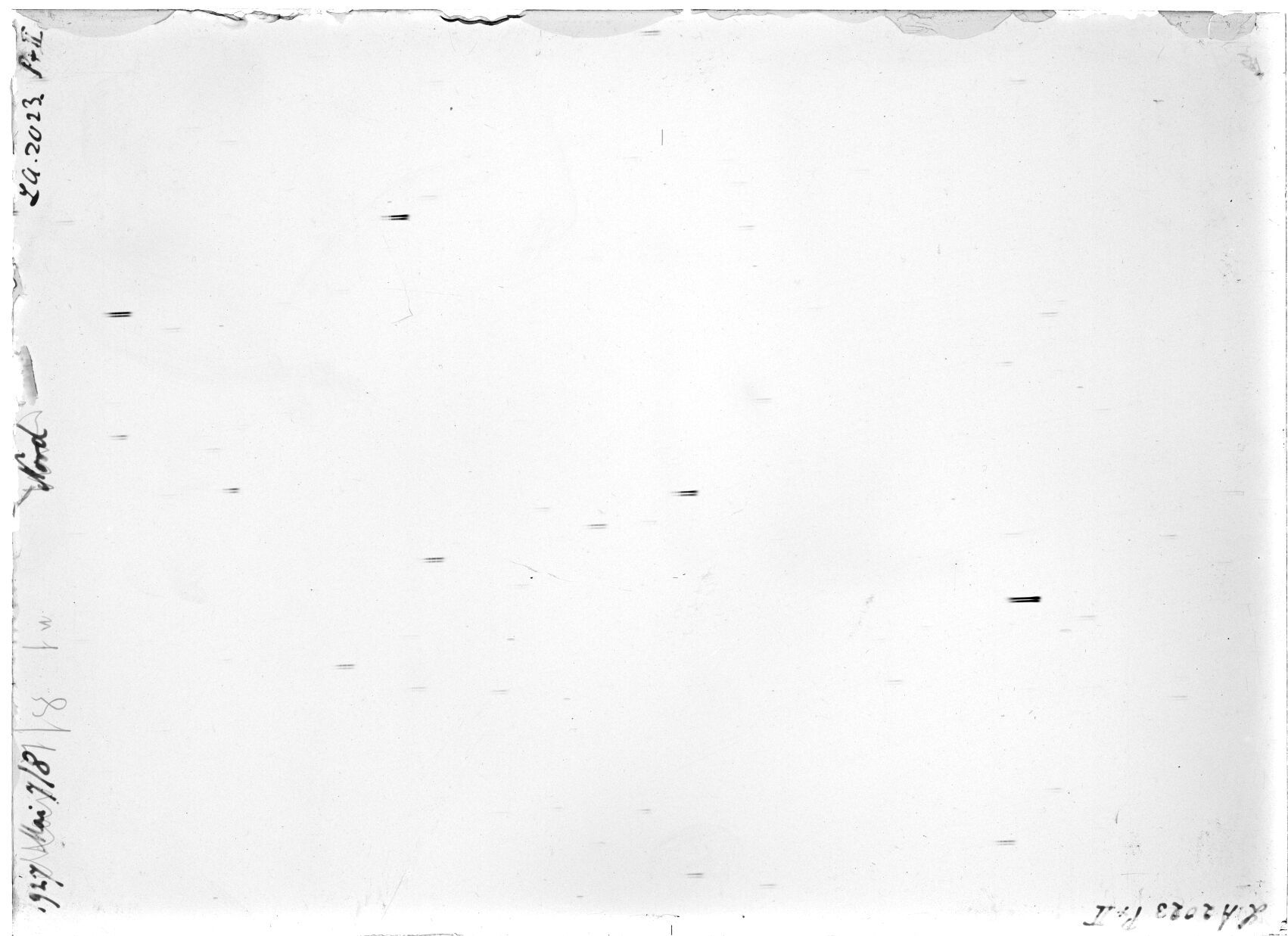 Scan LA02023