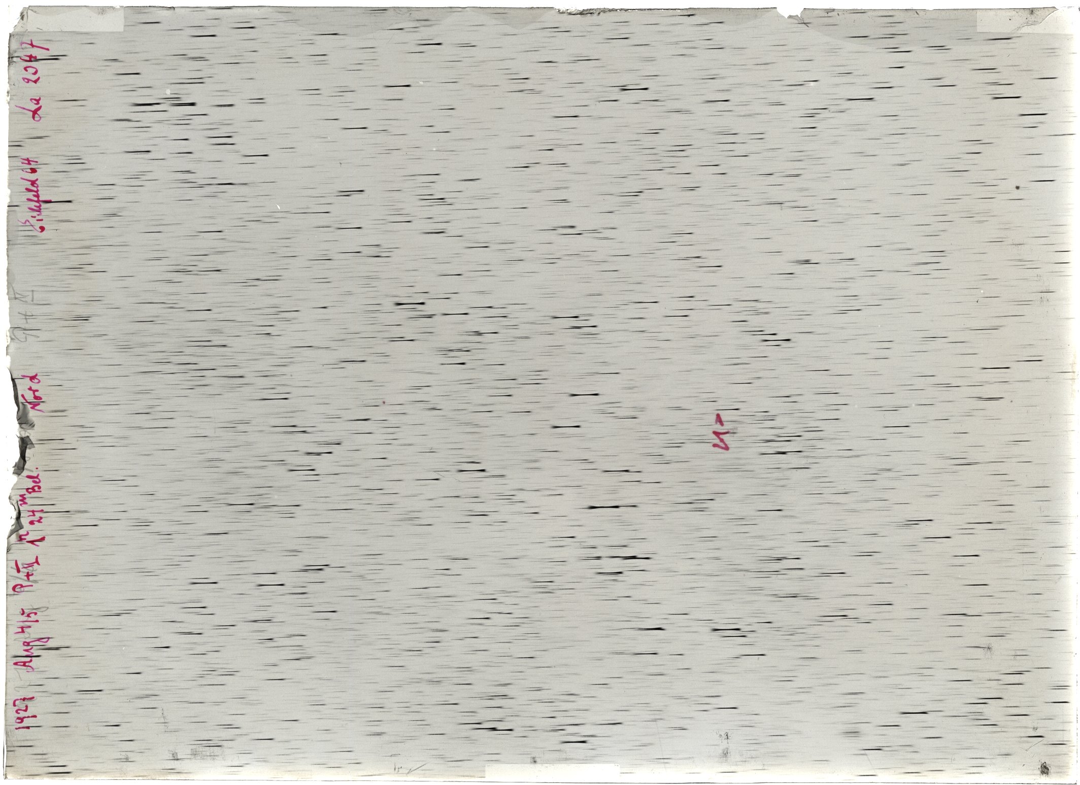 Scan LA02047