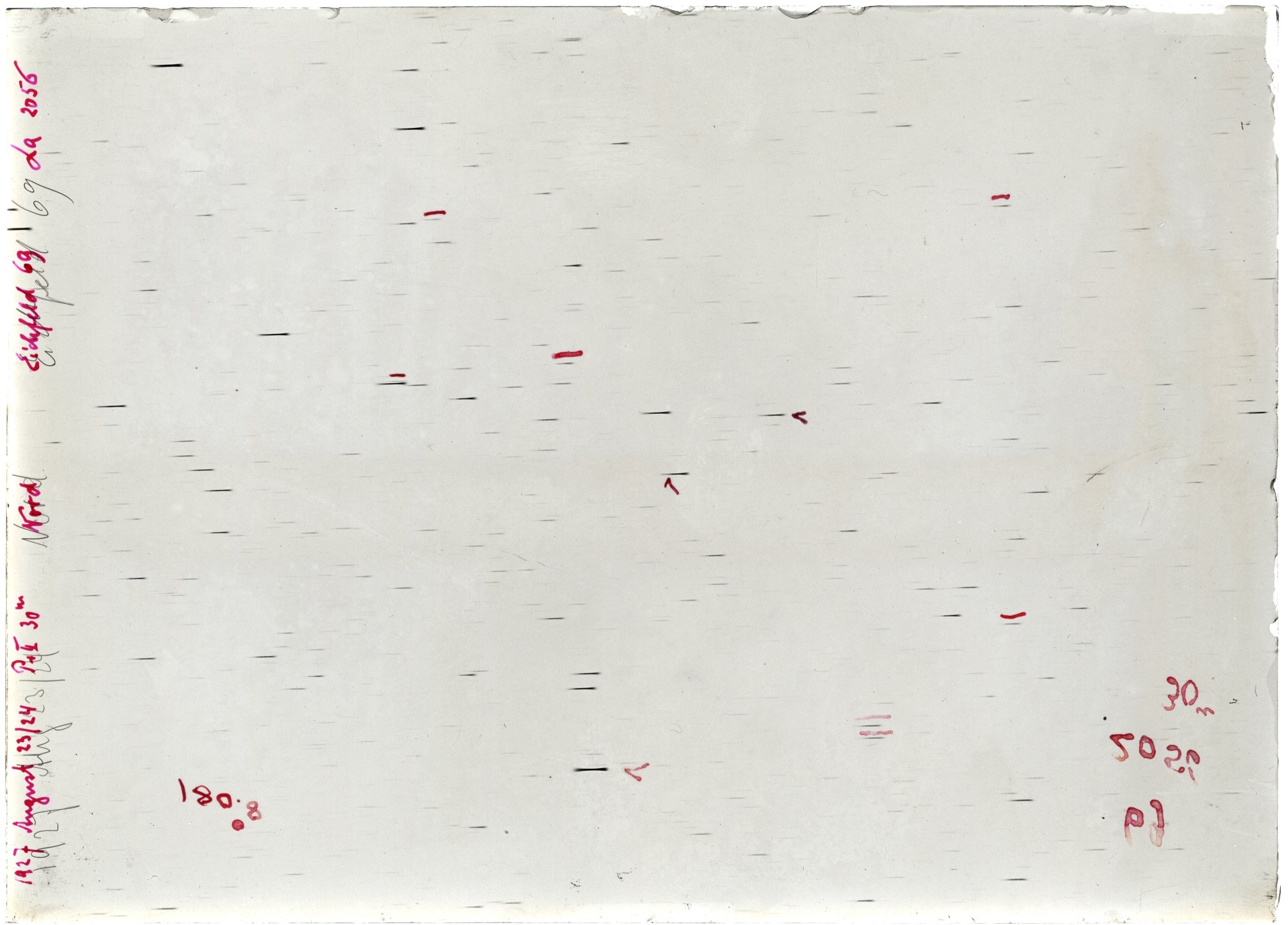 Scan LA02056