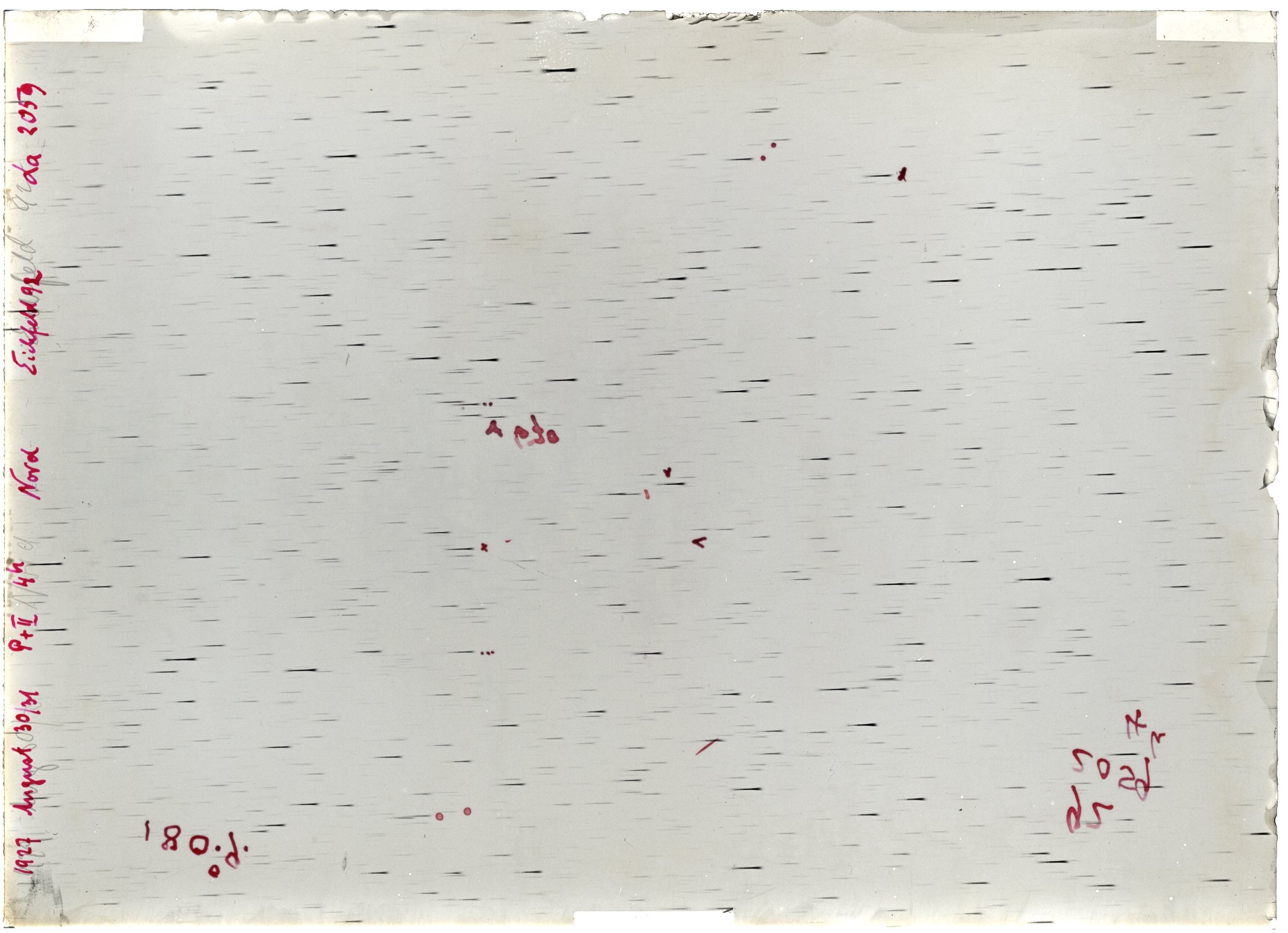 Scan LA02059