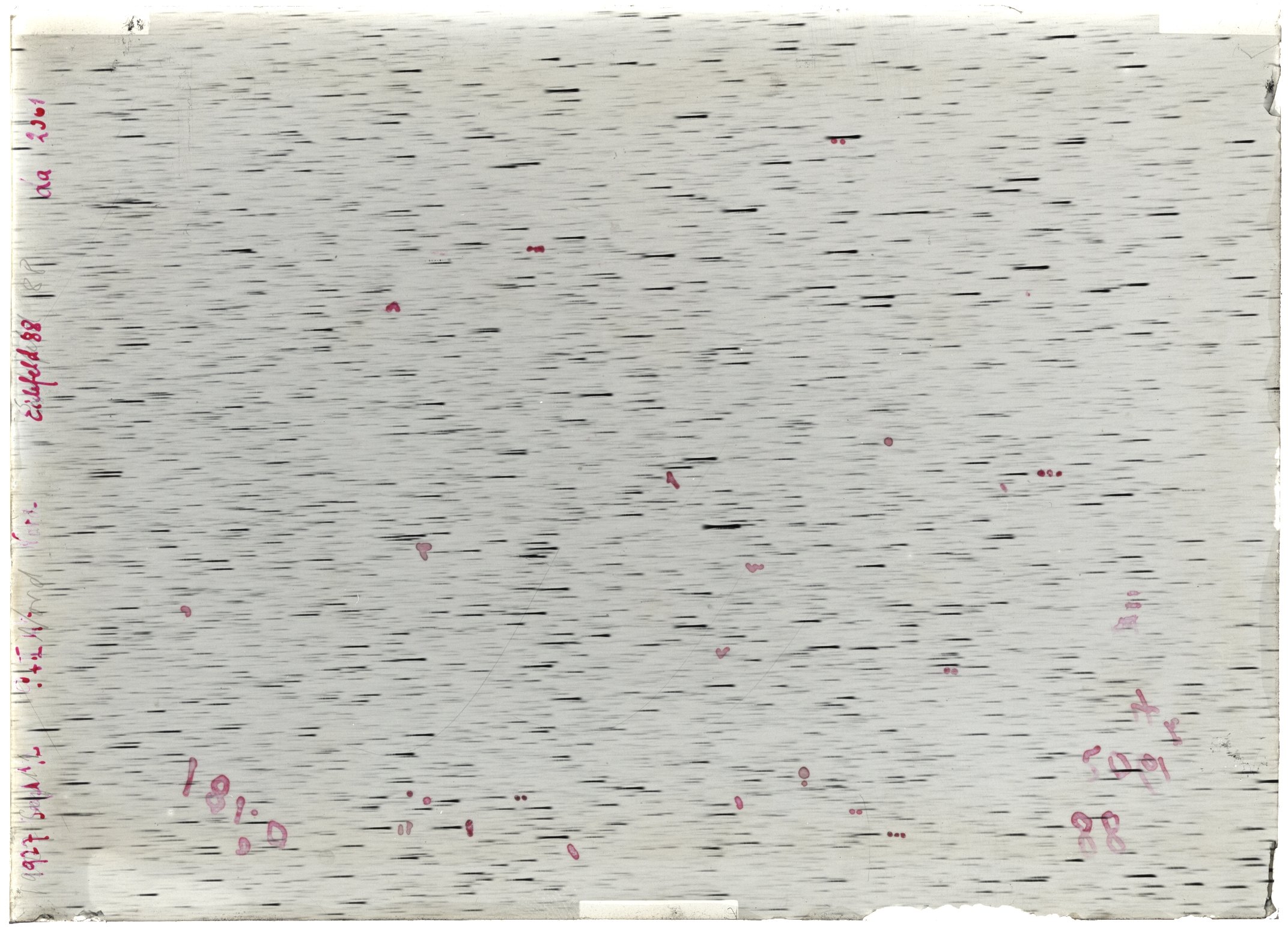 Scan LA02061