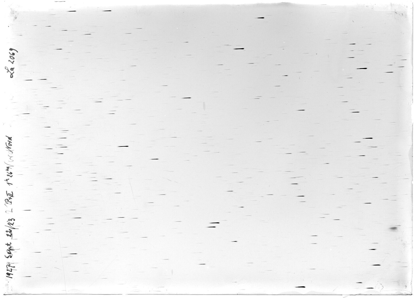Scan LA02069