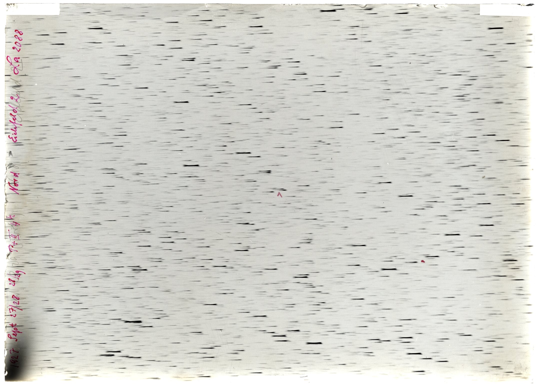 Scan LA02088