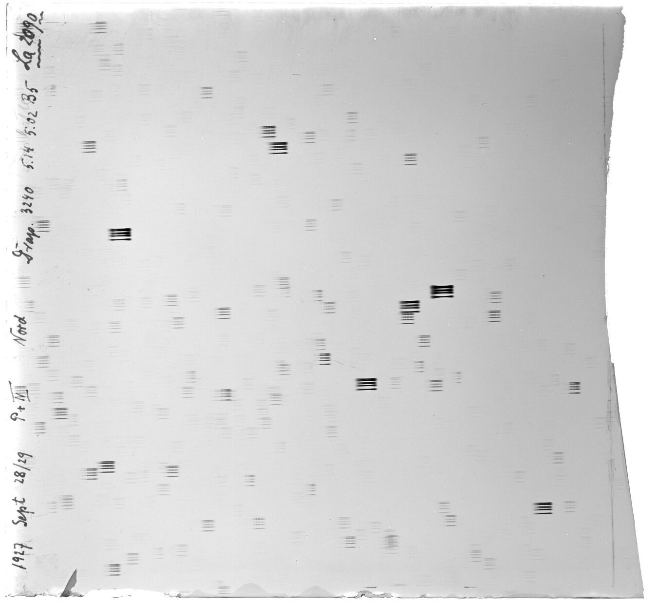 Scan LA02090