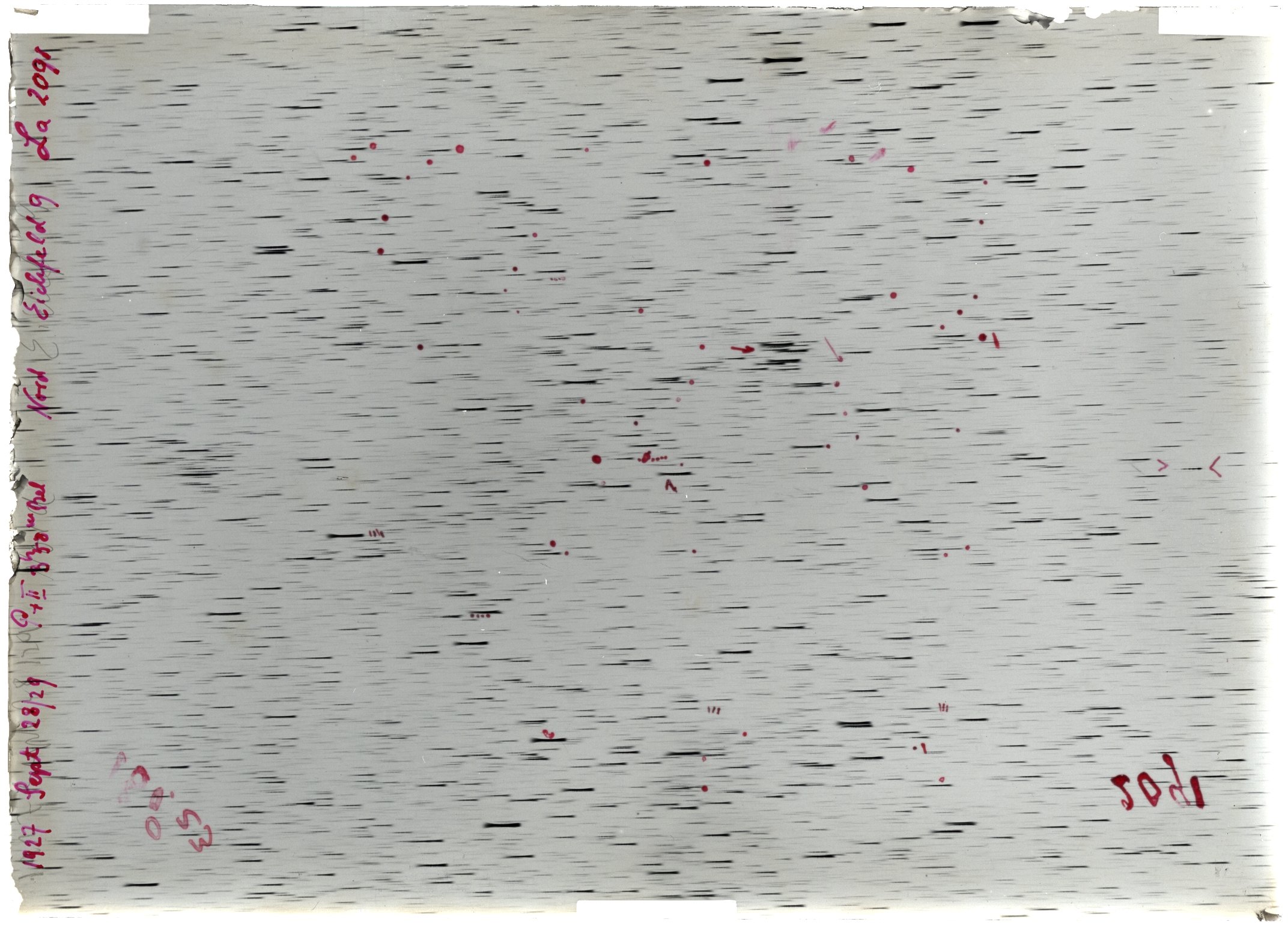 Scan LA02091