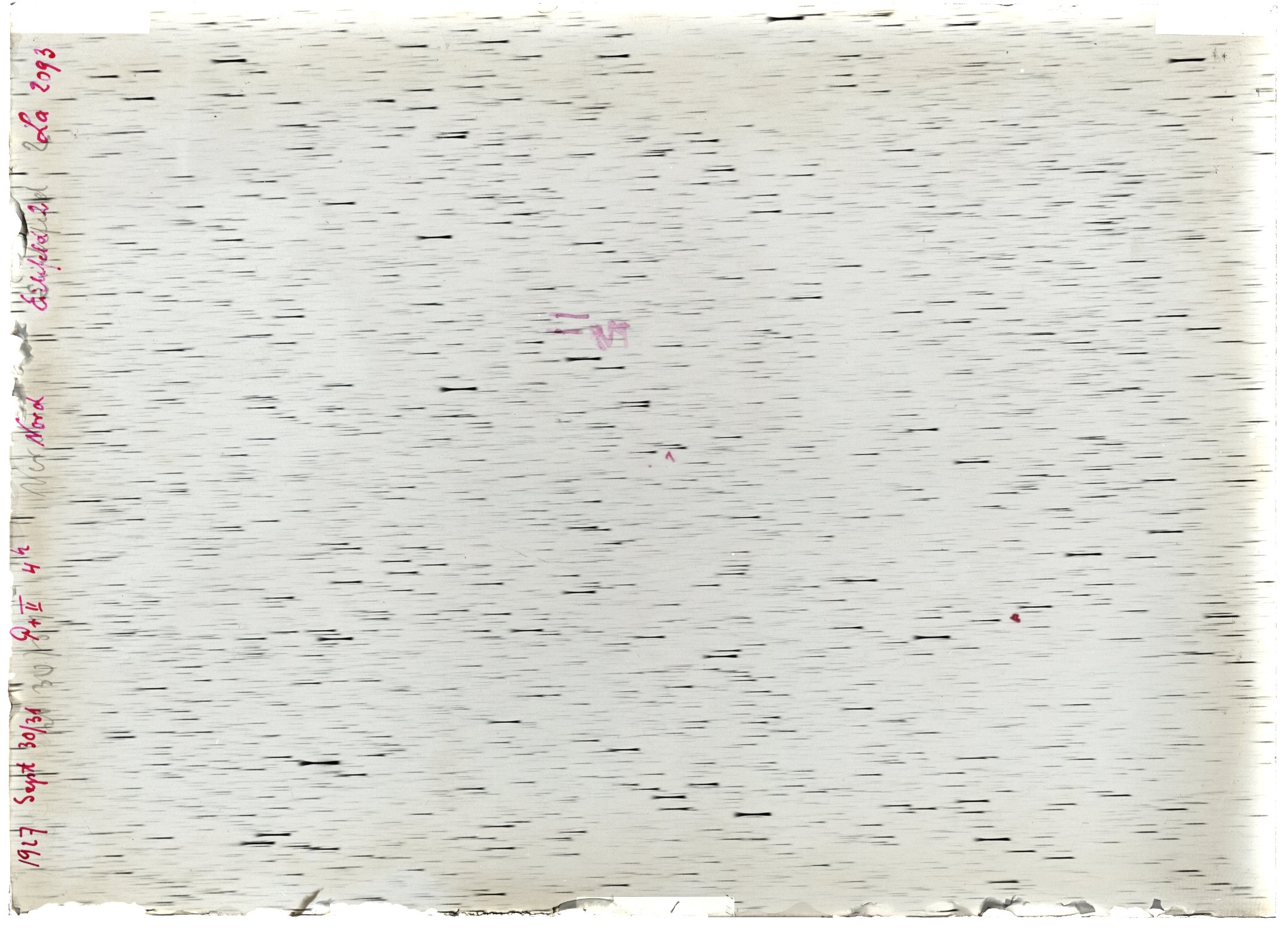 Scan LA02093