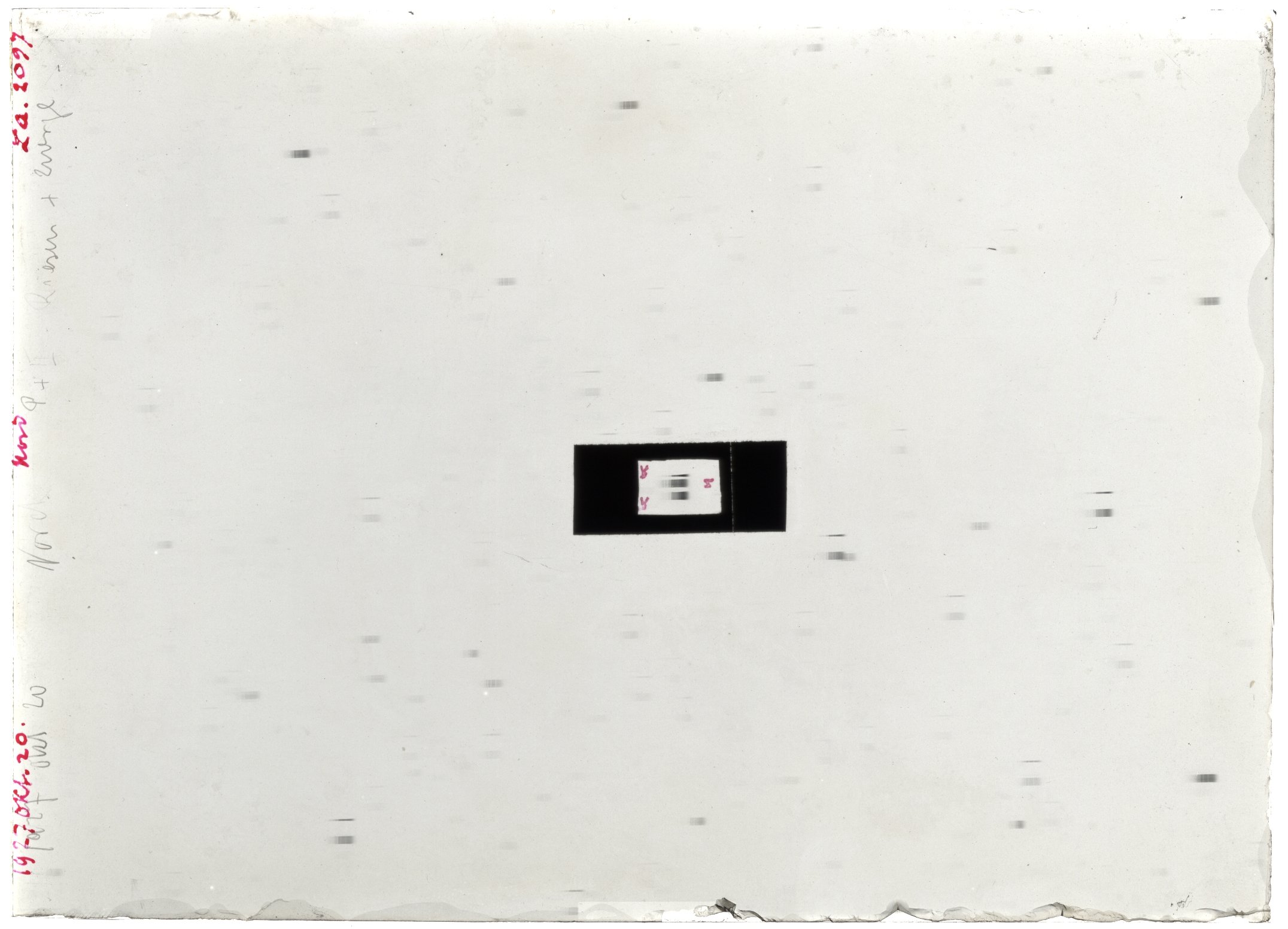Scan LA02097