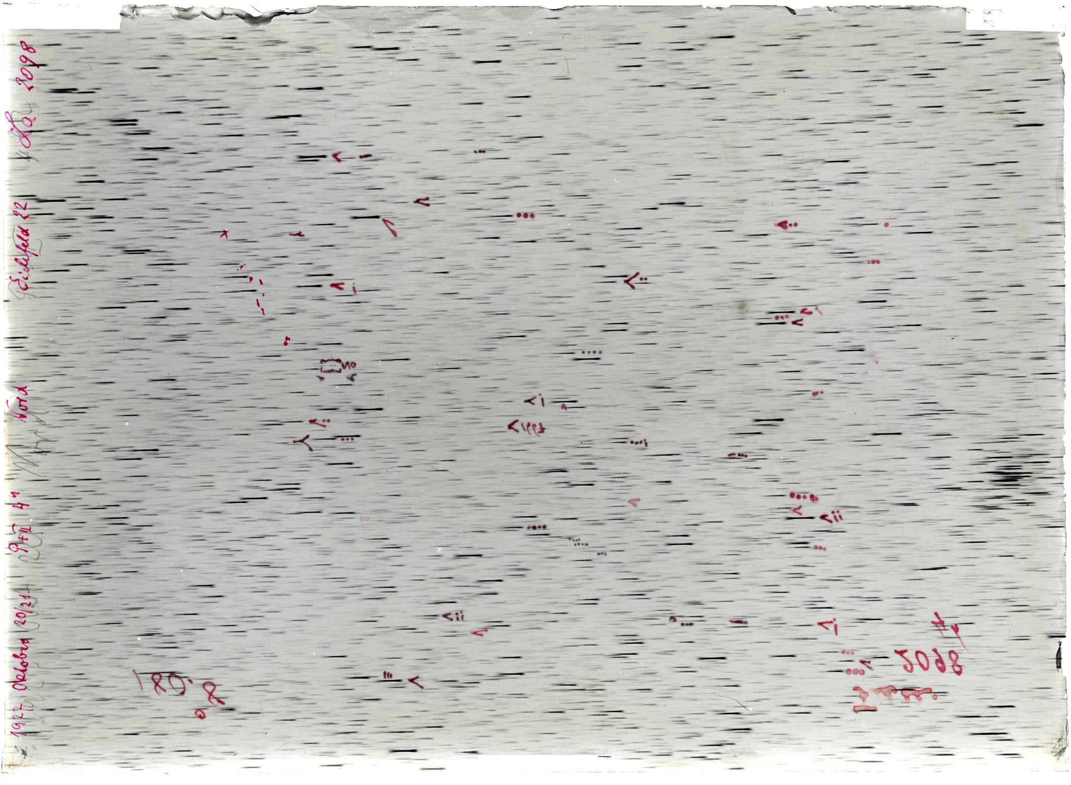 Scan LA02098