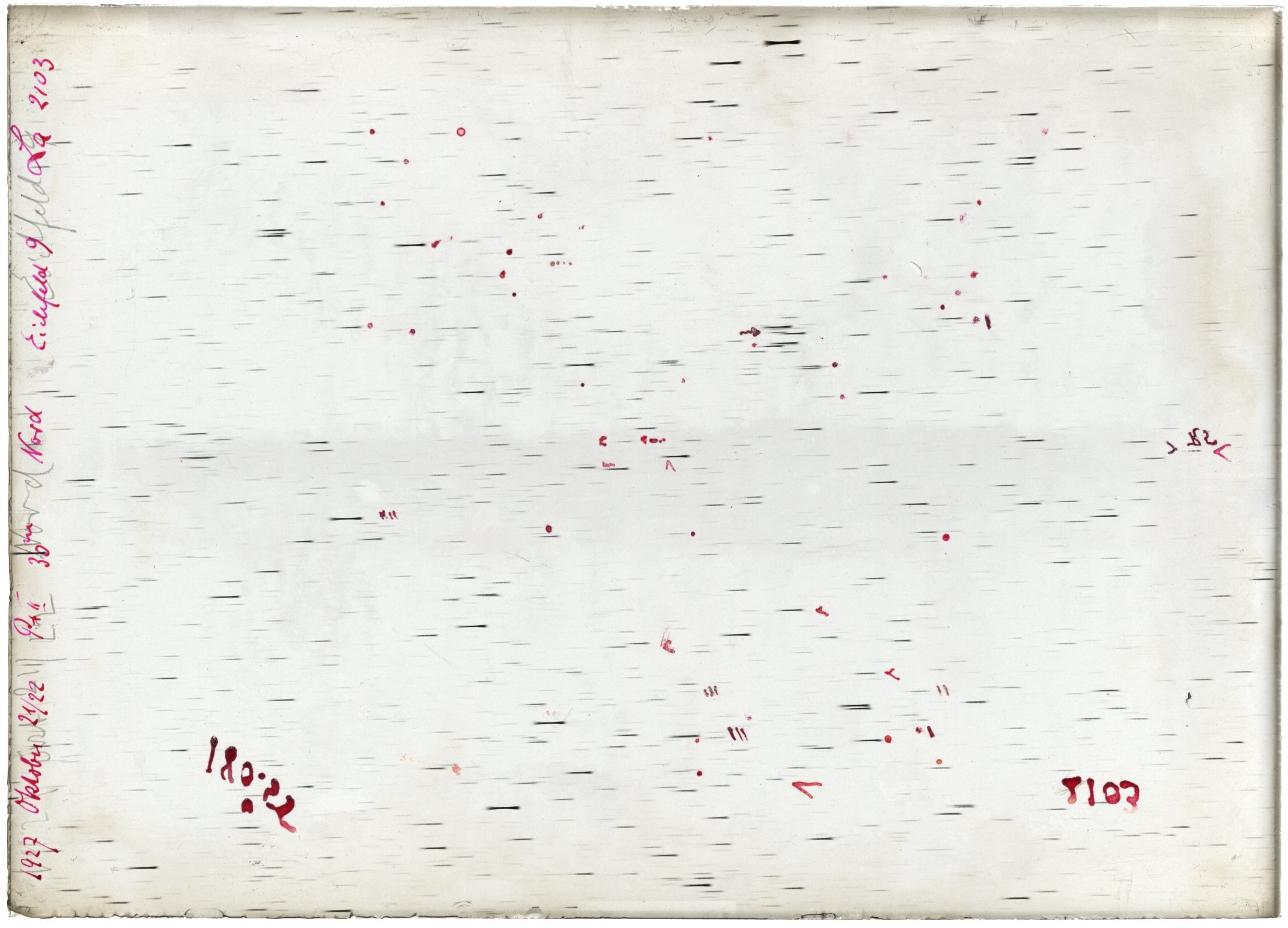 Scan LA02103