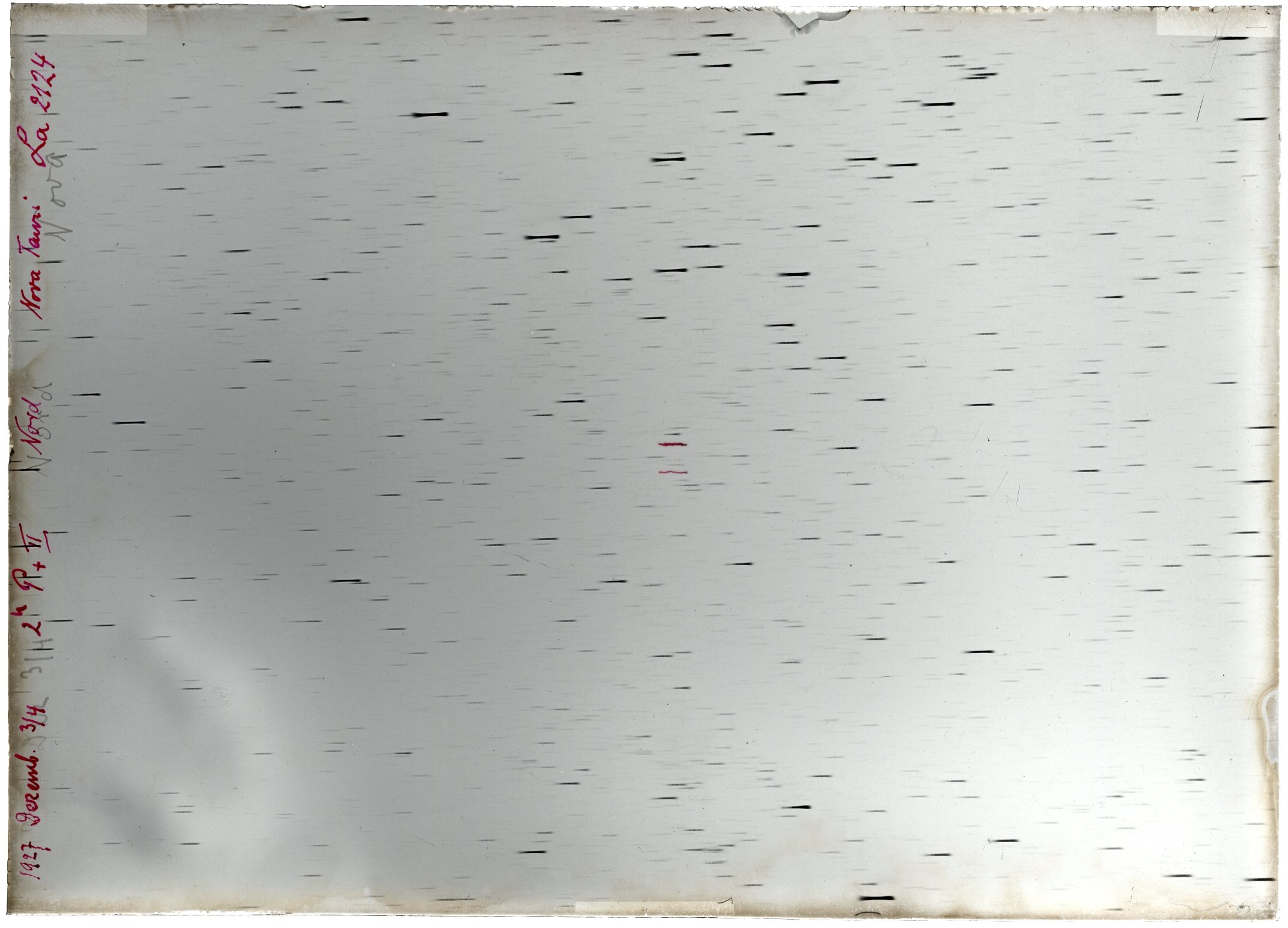 Scan LA02124