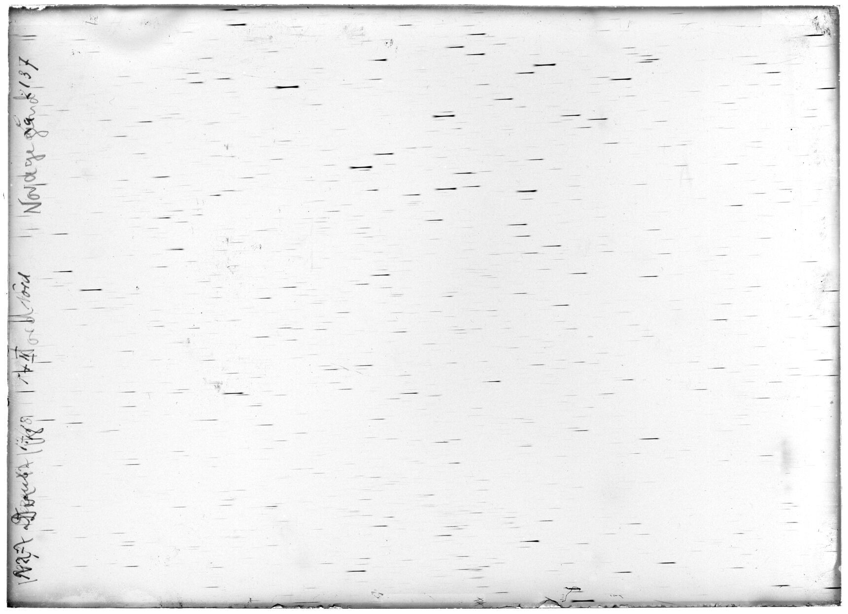 Scan LA02137