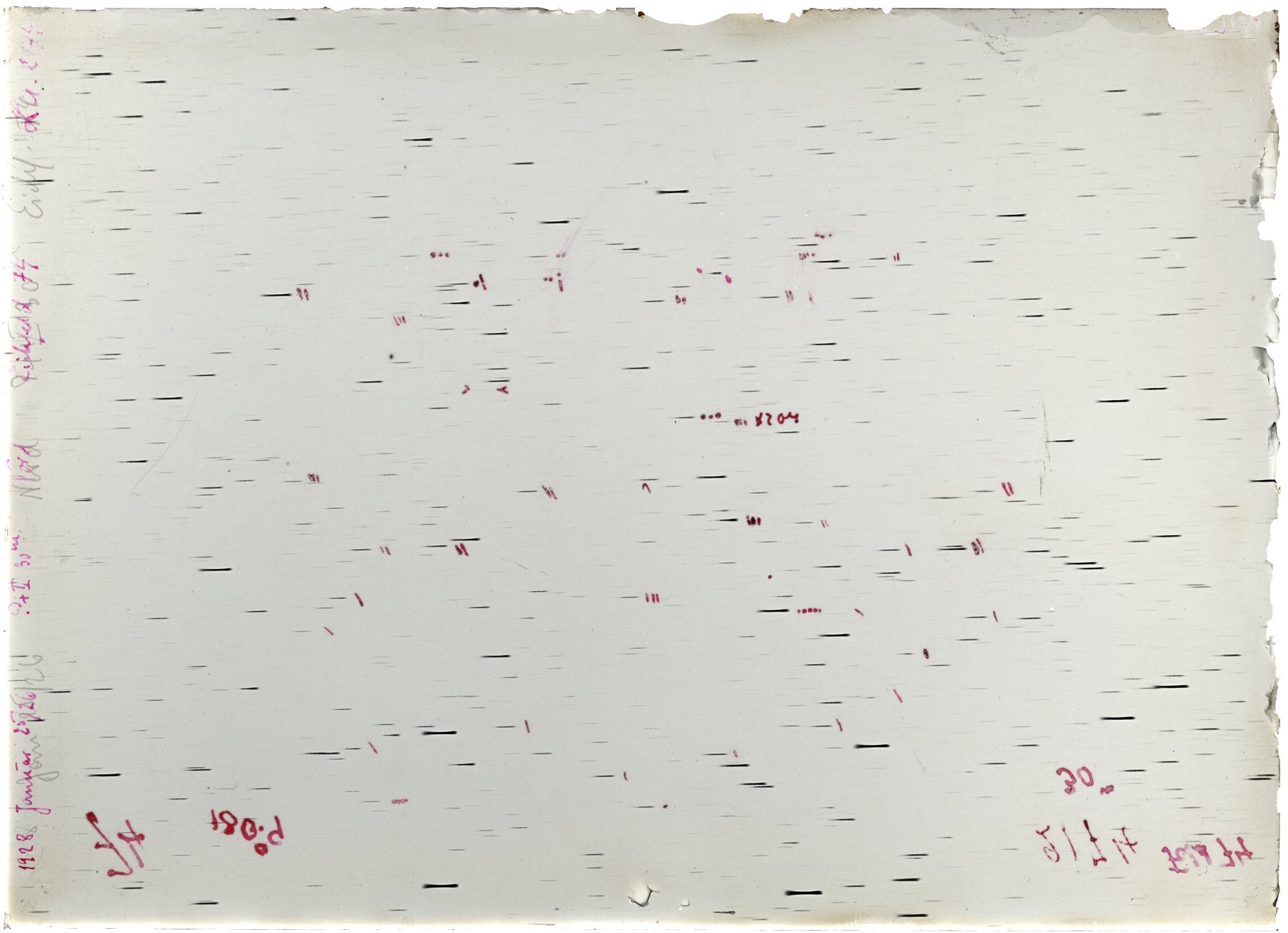 Scan LA02174