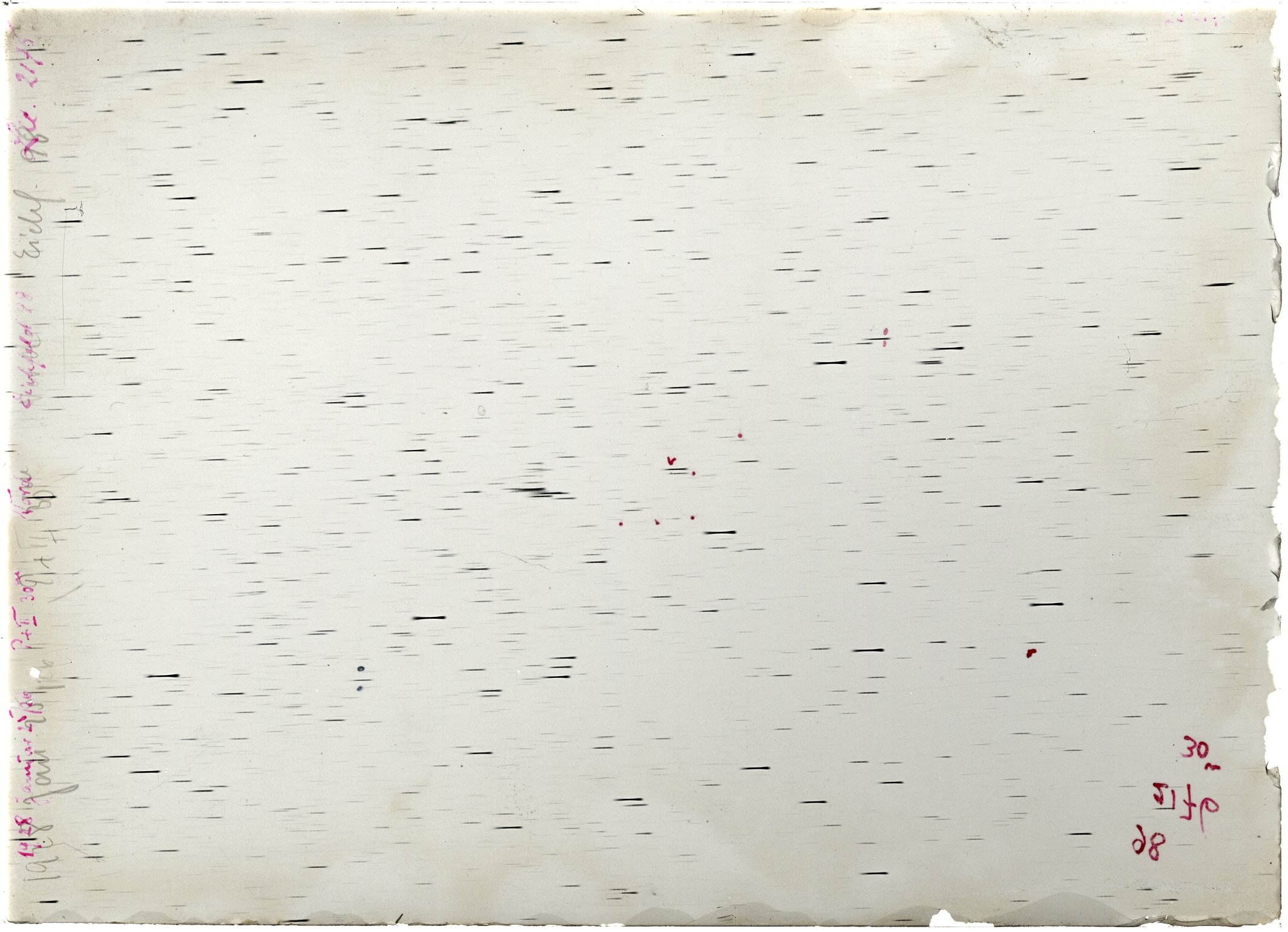 Scan LA02176