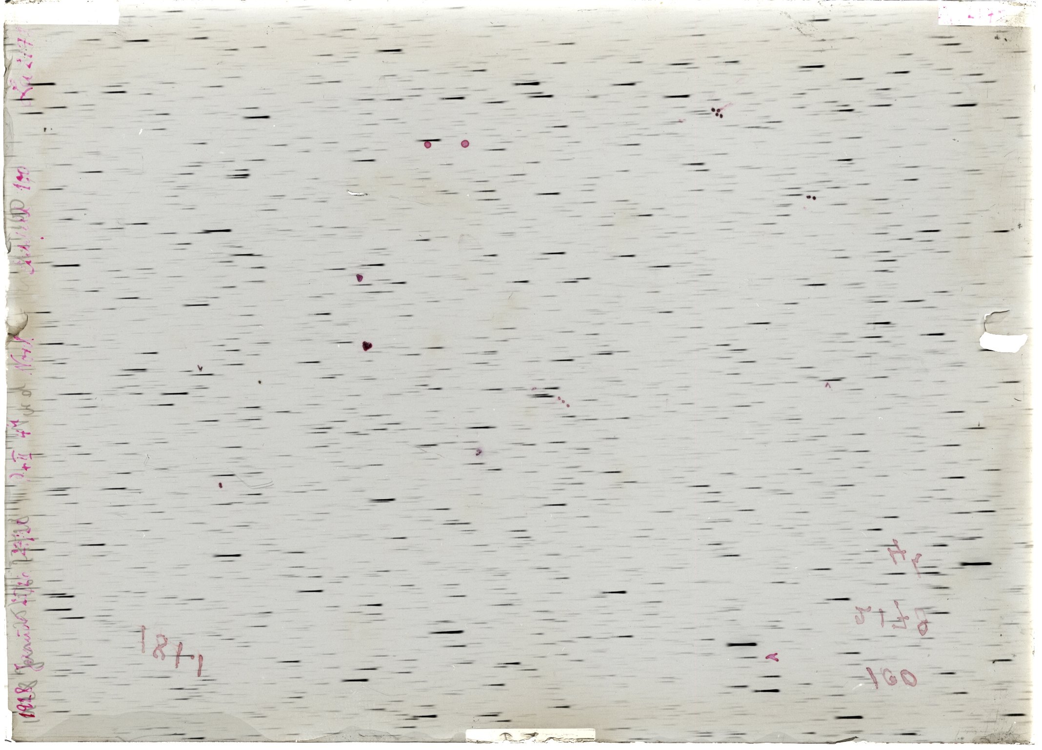 Scan LA02178