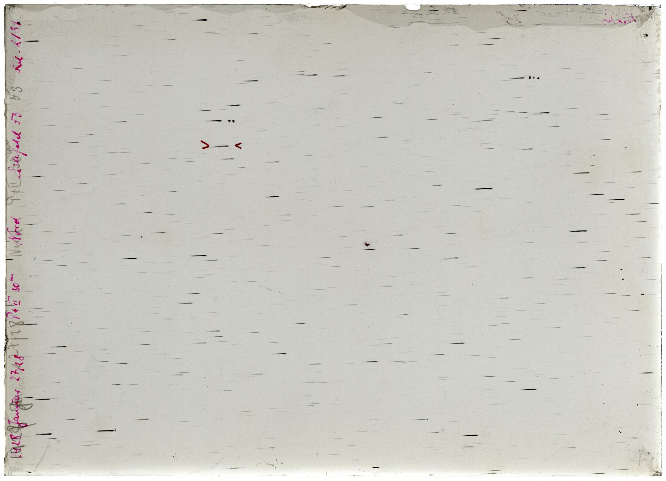 Scan LA02181