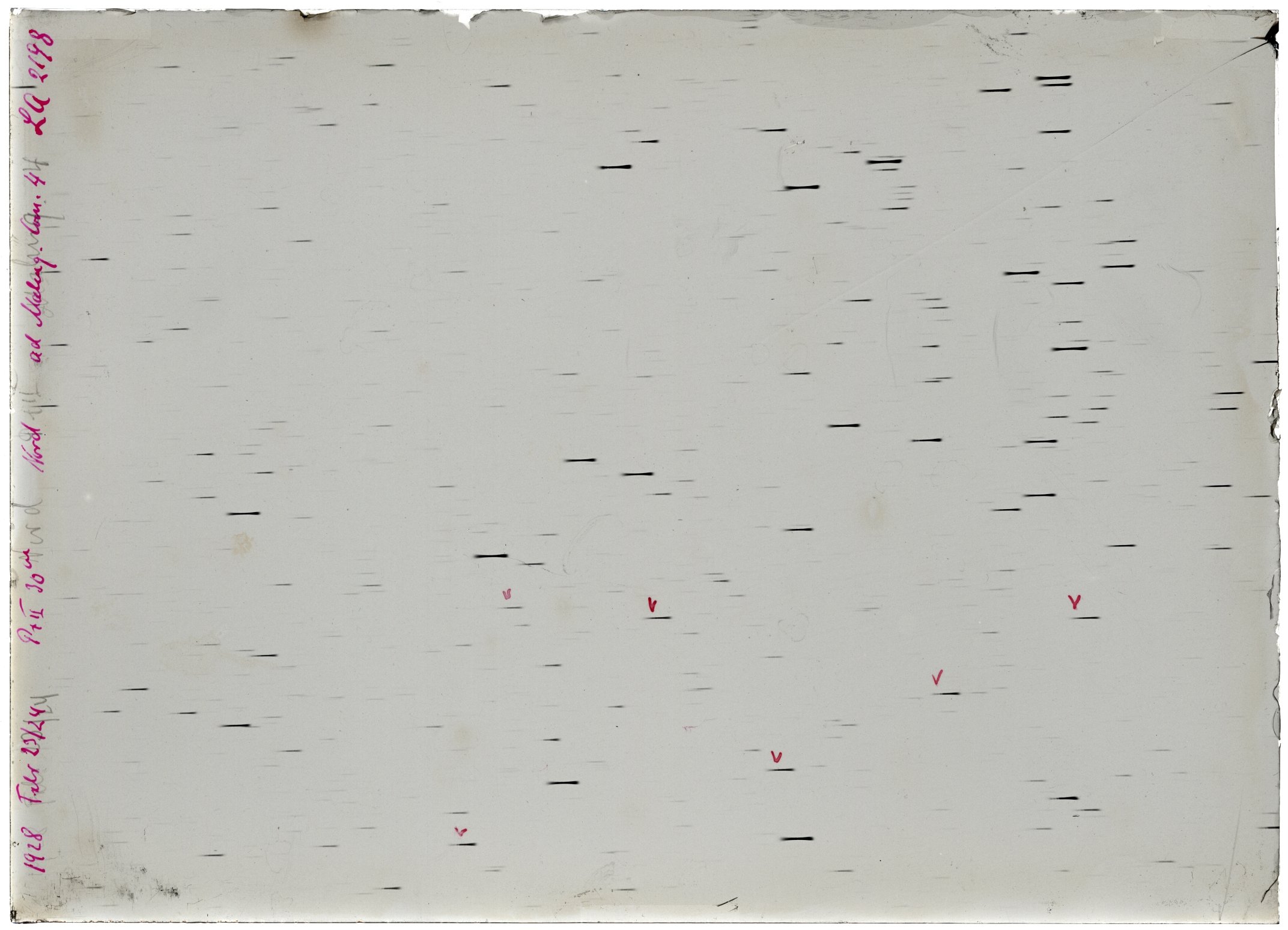 Scan LA02198