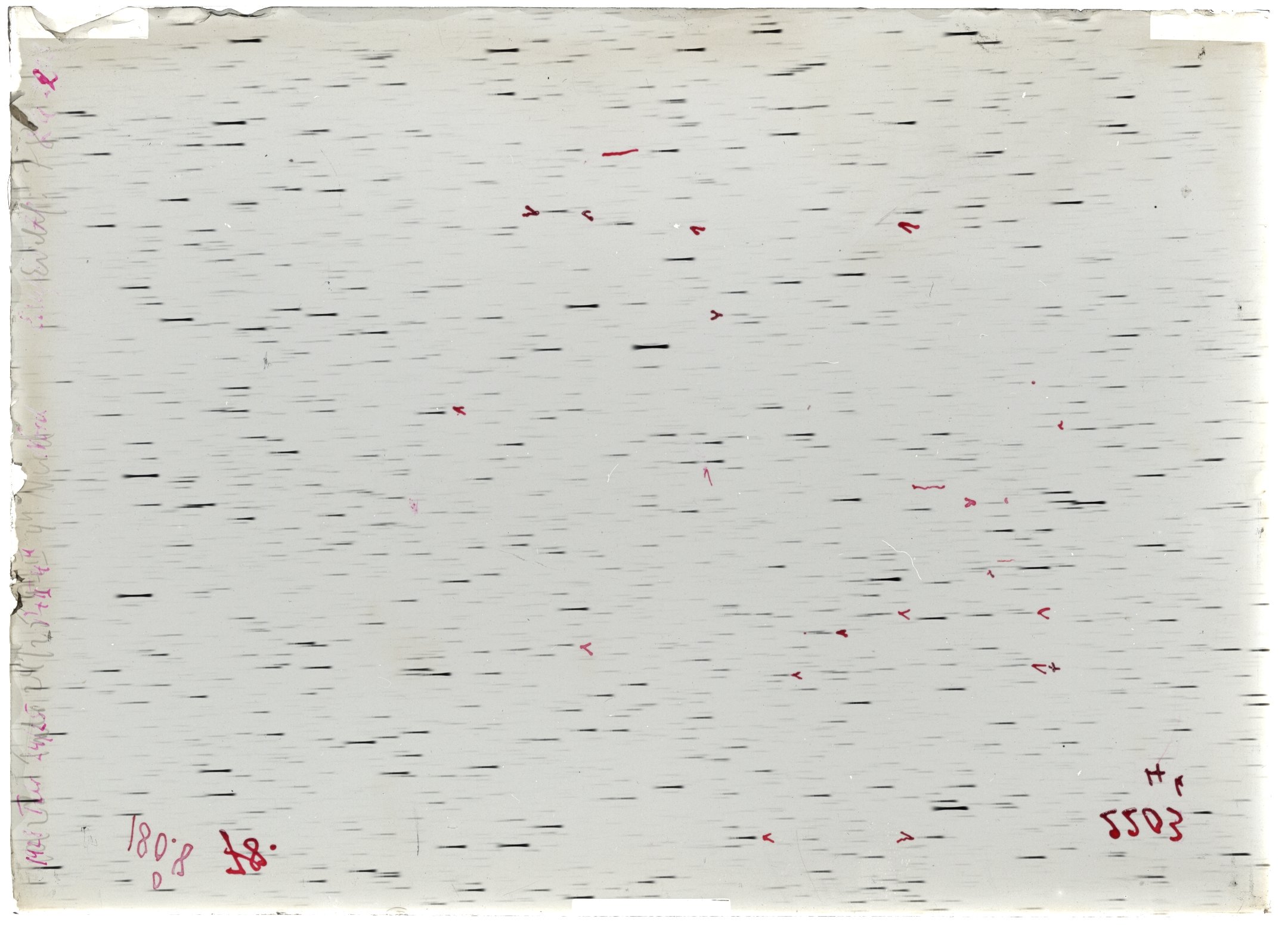 Scan LA02203