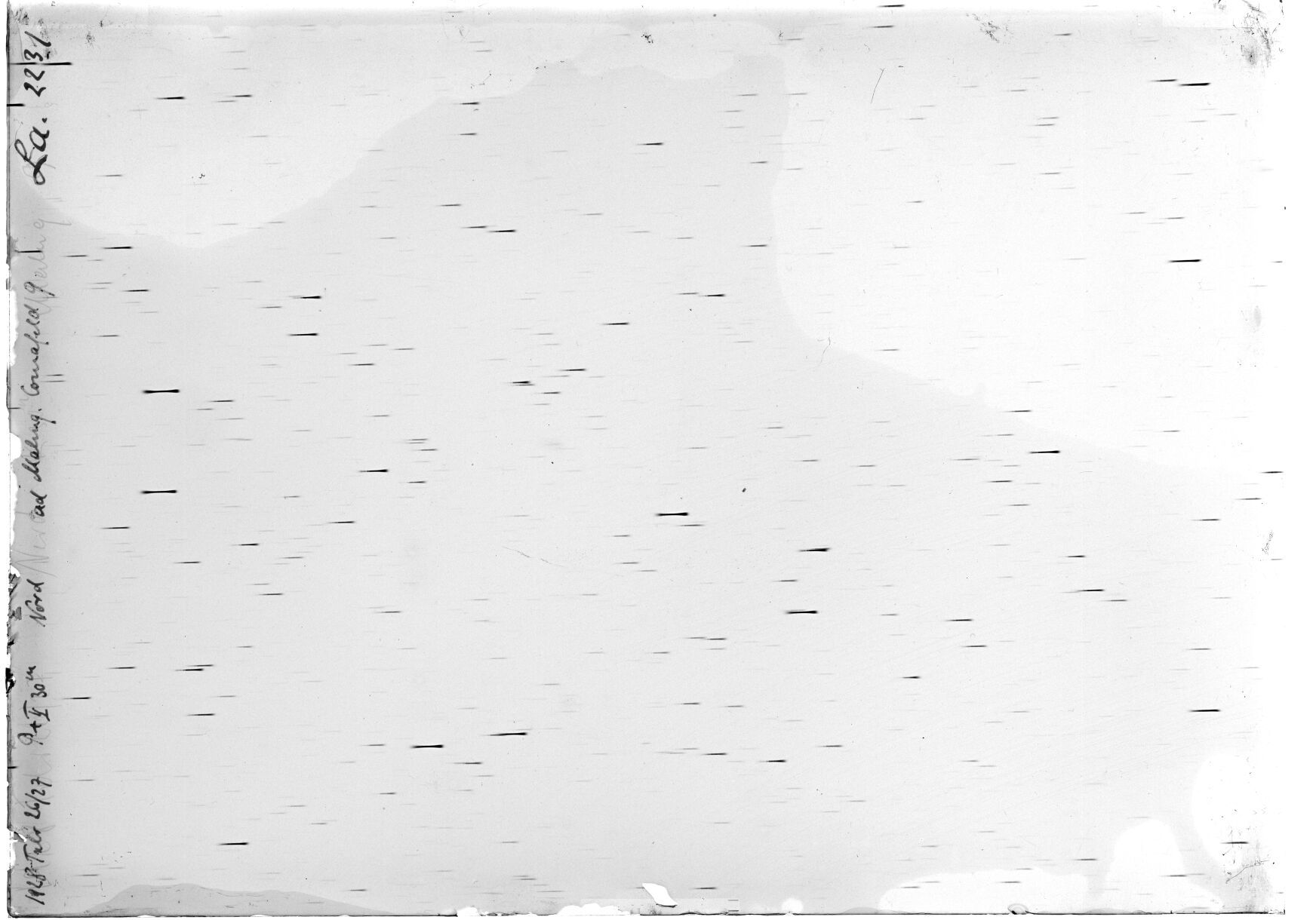 Scan LA02231