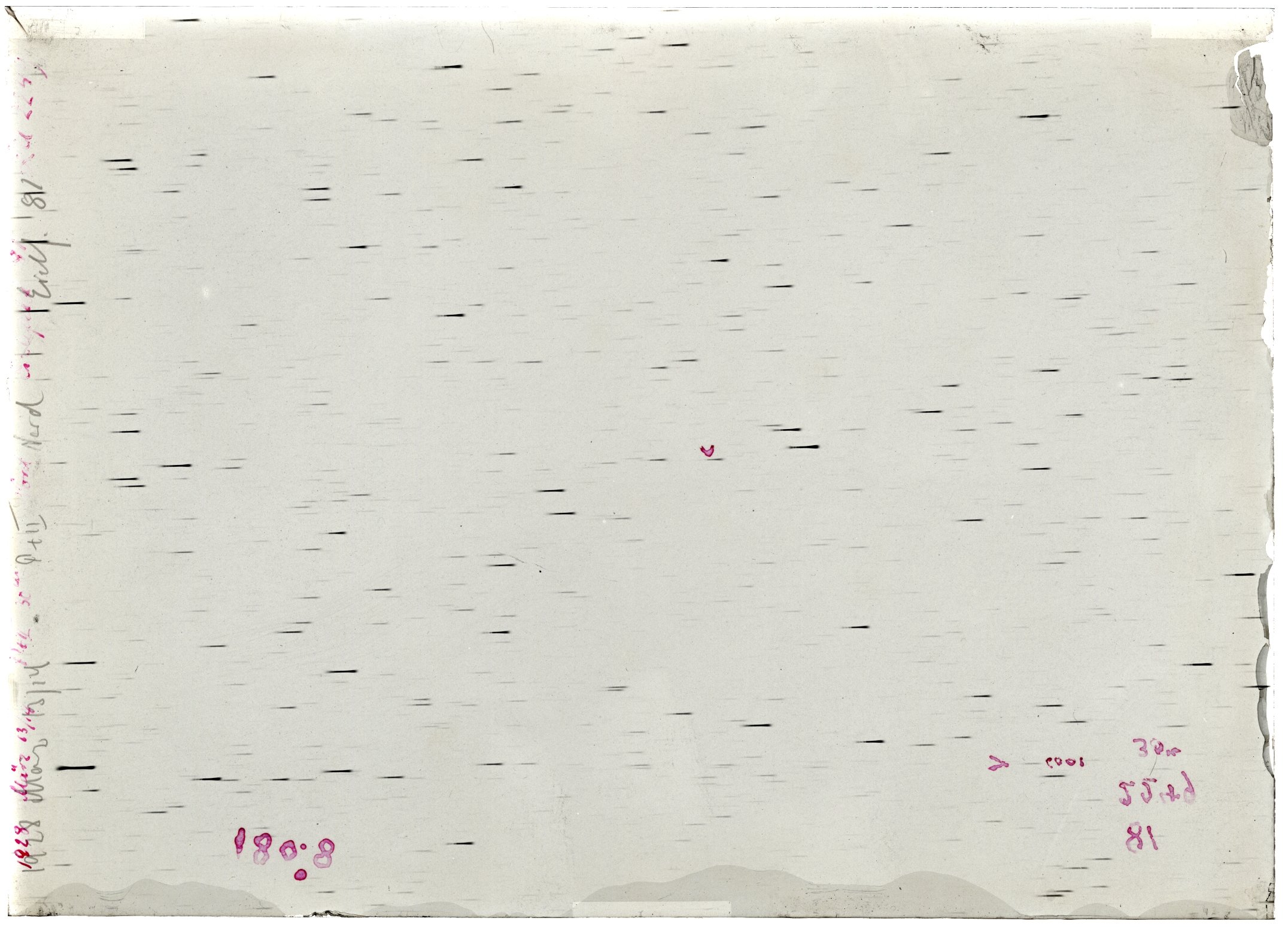 Scan LA02249