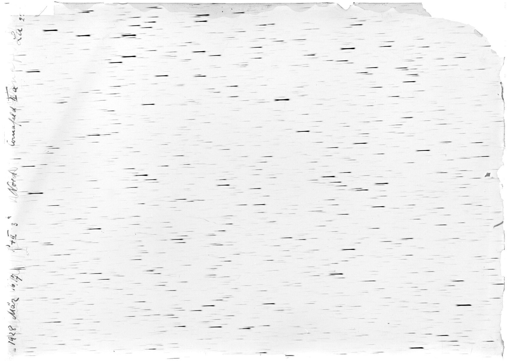 Scan LA02274