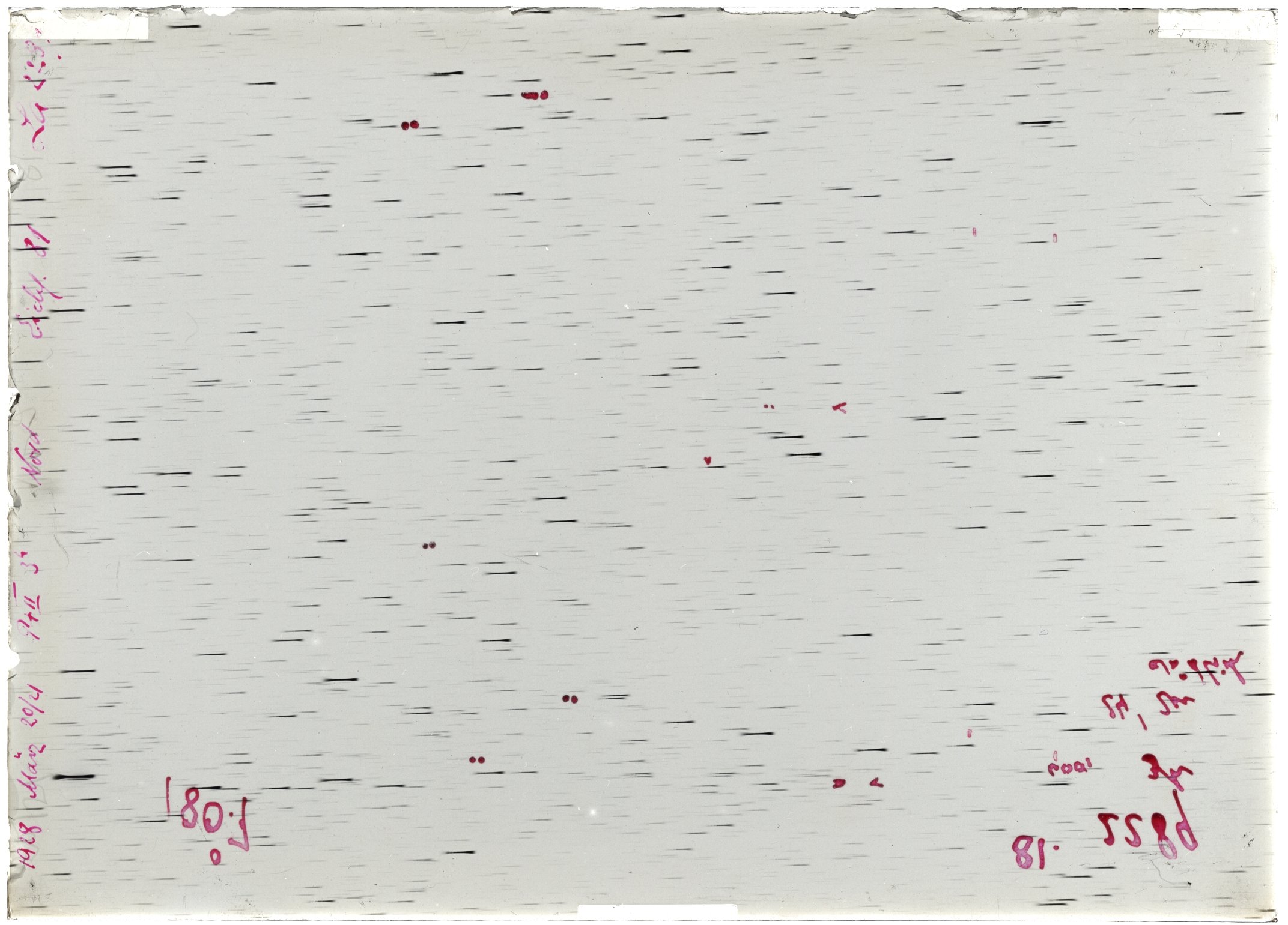 Scan LA02289