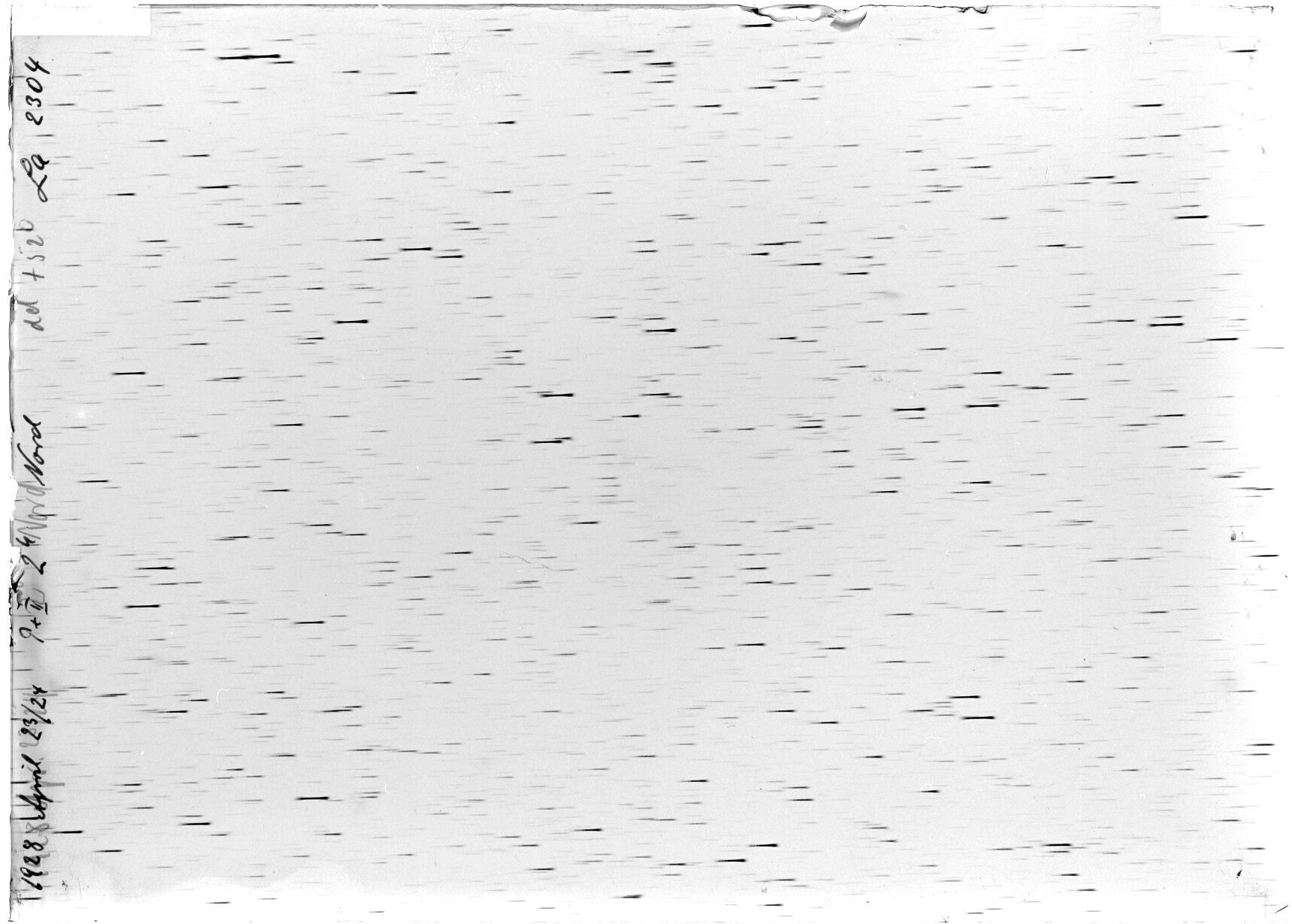 Scan LA02304