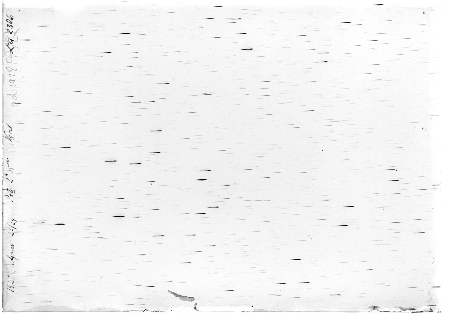 Scan LA02306