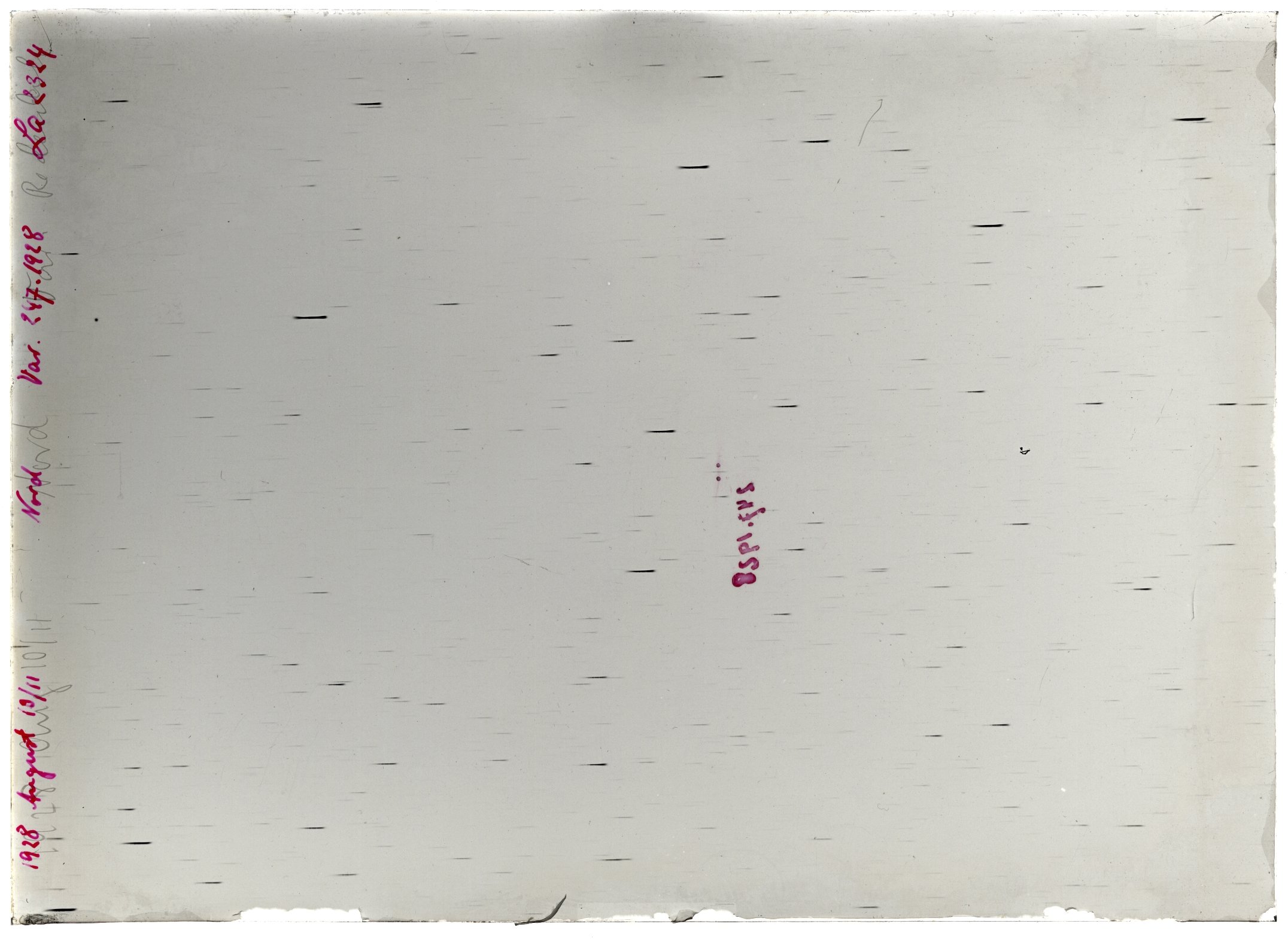 Scan LA02324
