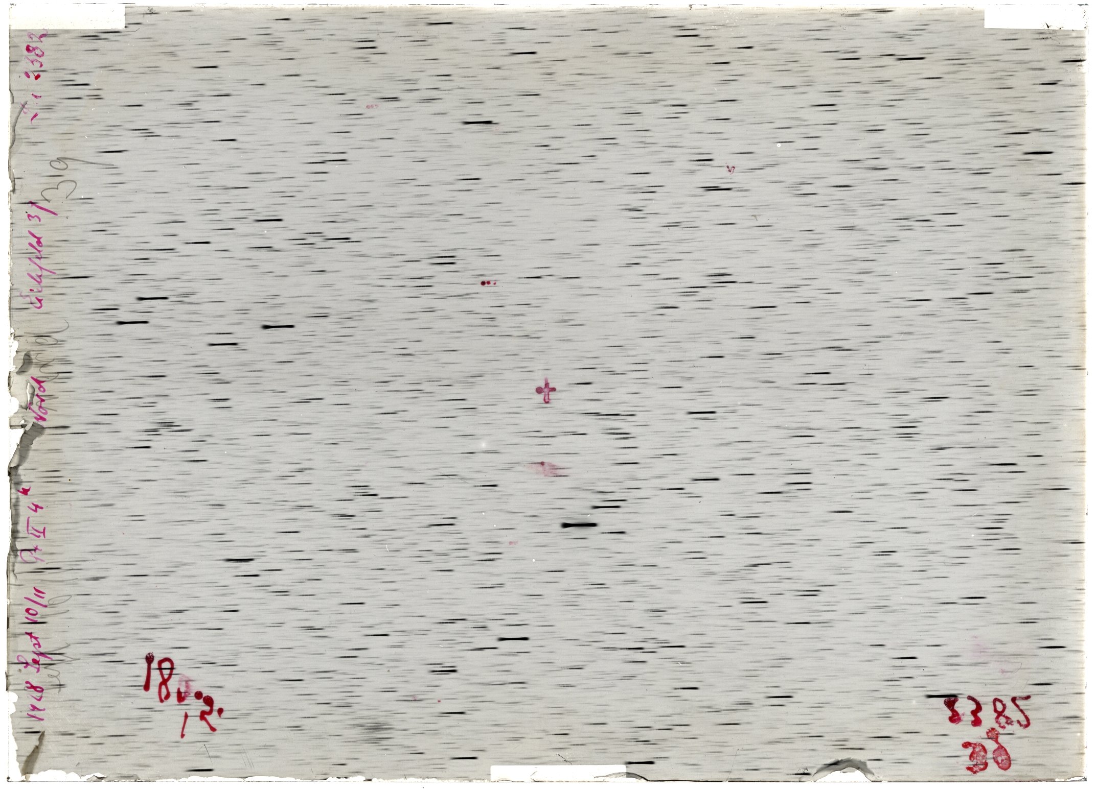 Scan LA02382