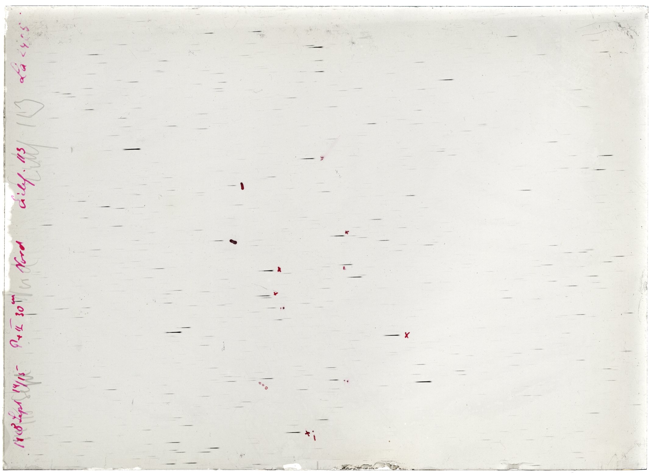 Scan LA02405