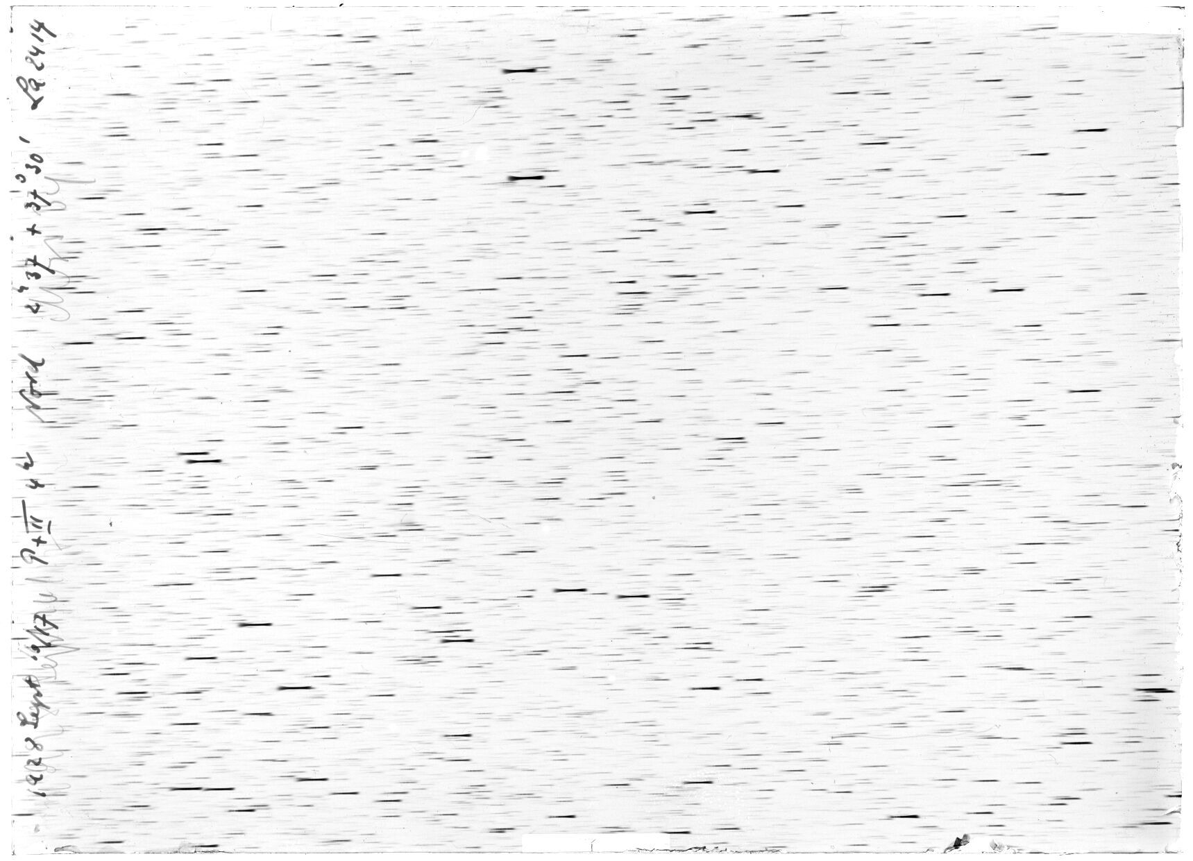 Scan LA02414