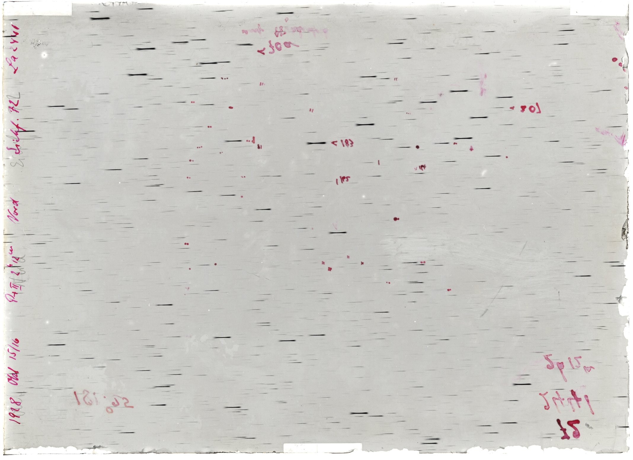 Scan LA02441