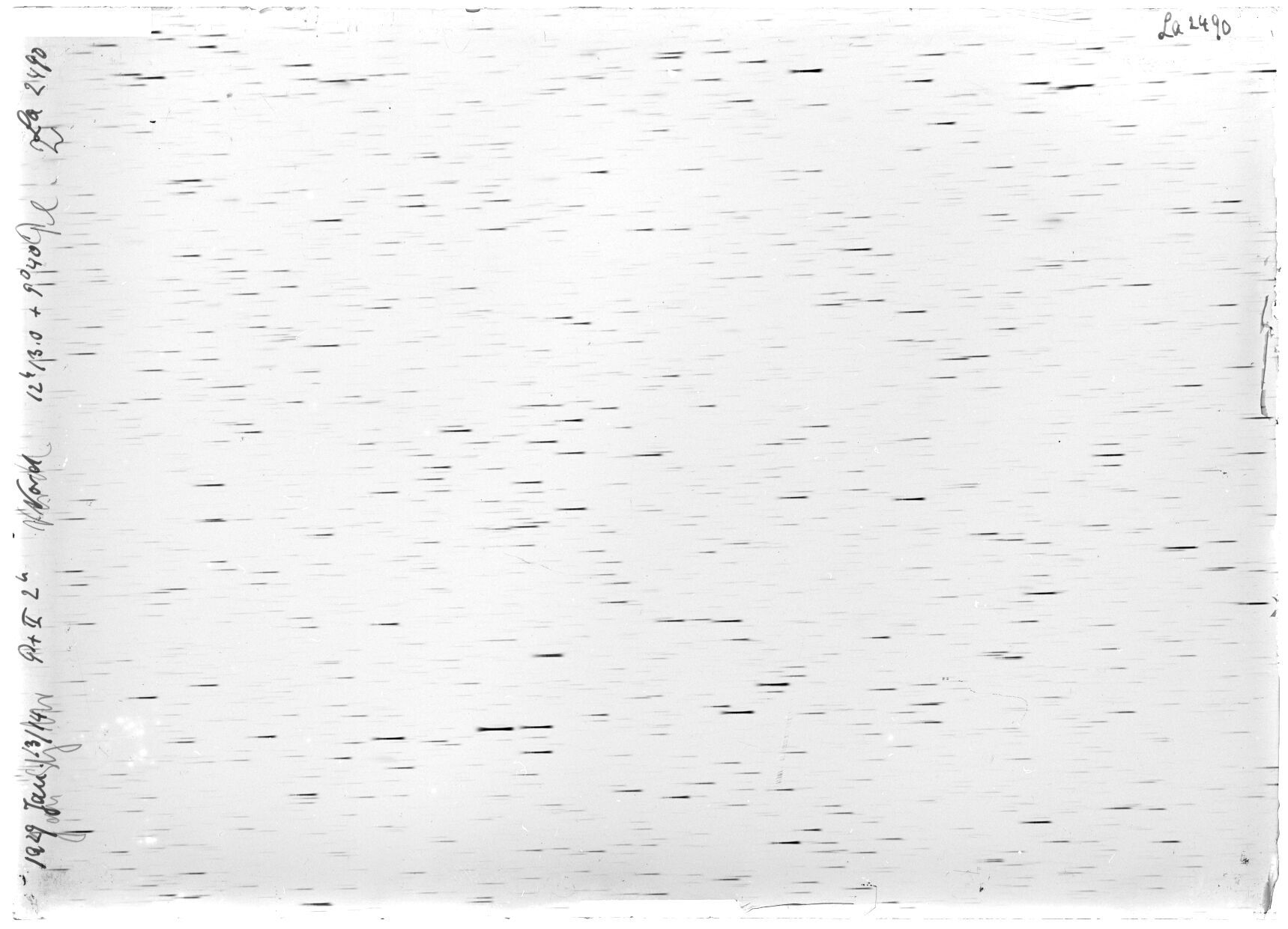 Scan LA02490
