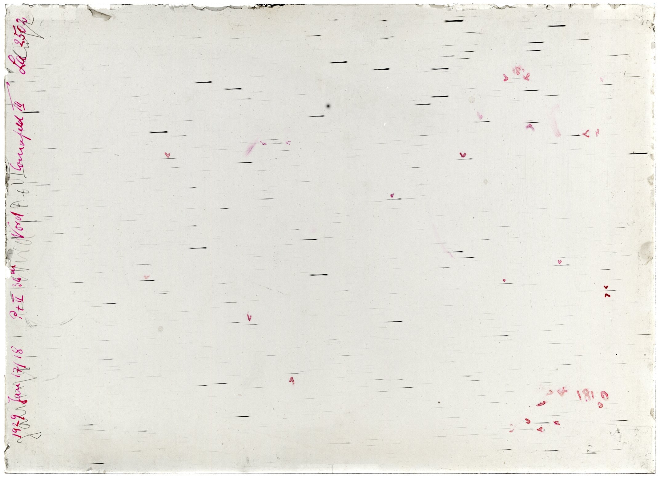 Scan LA02502