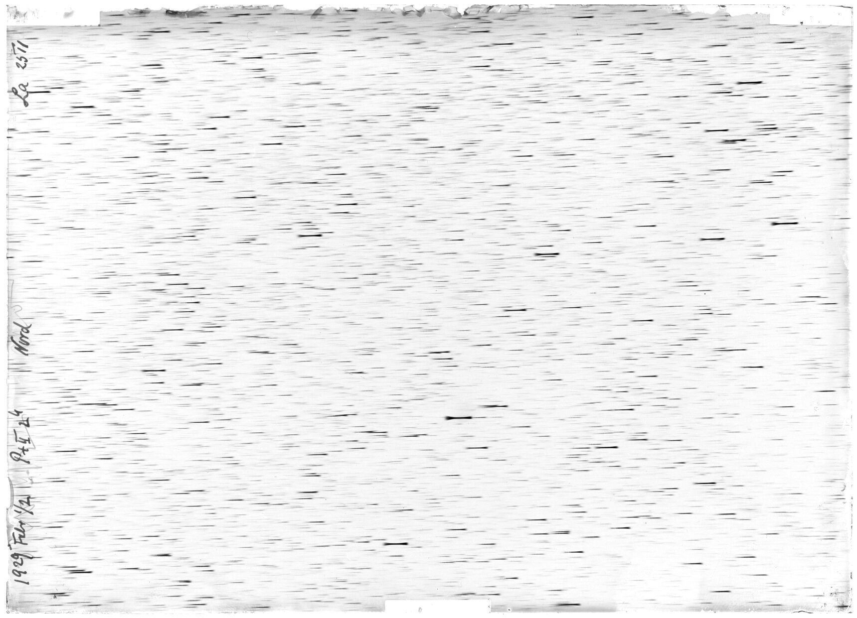 Scan LA02511