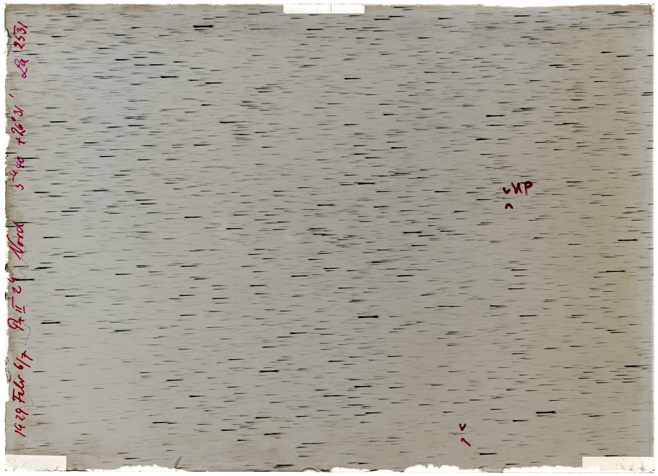 Scan LA02531