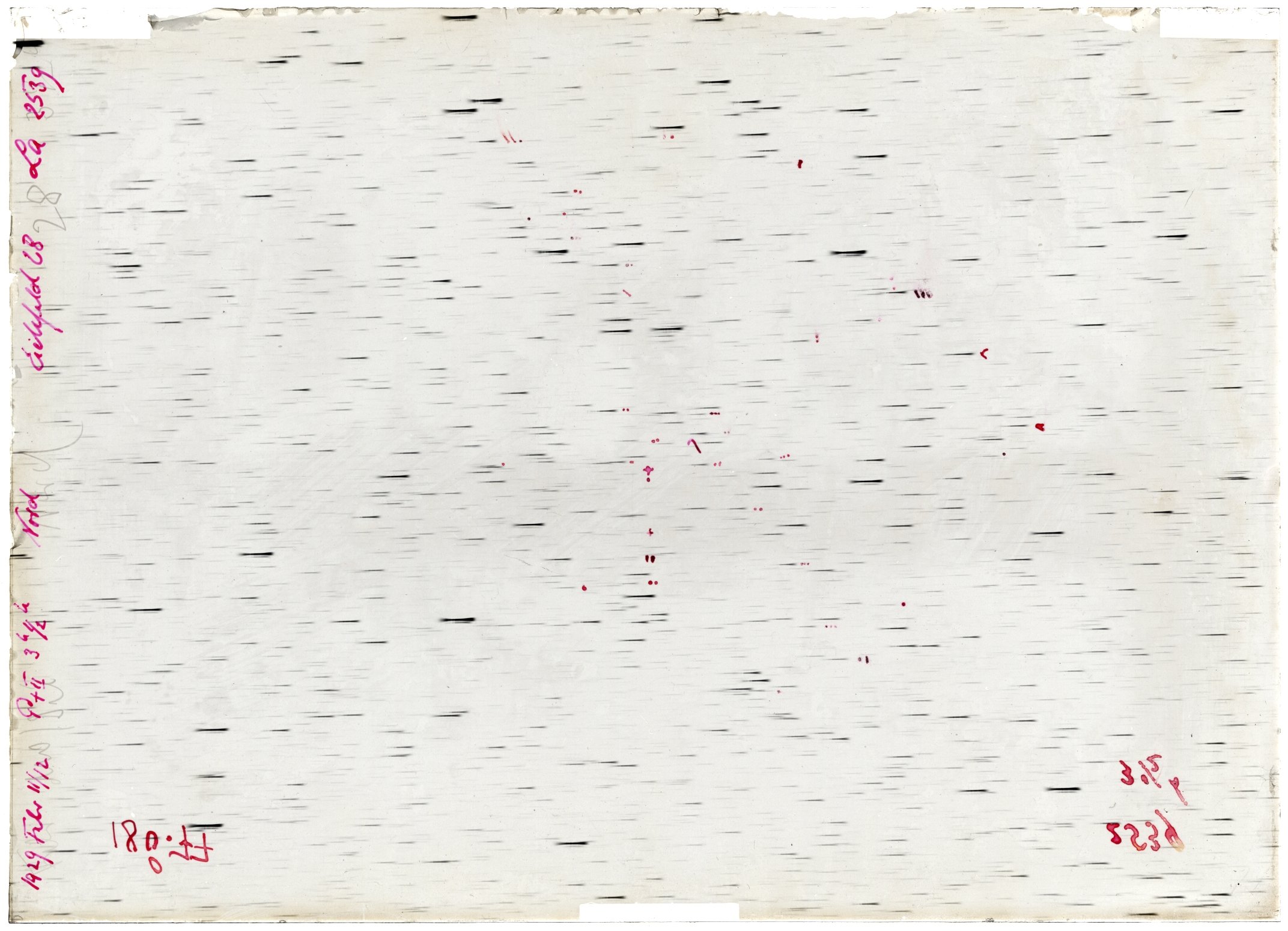 Scan LA02539