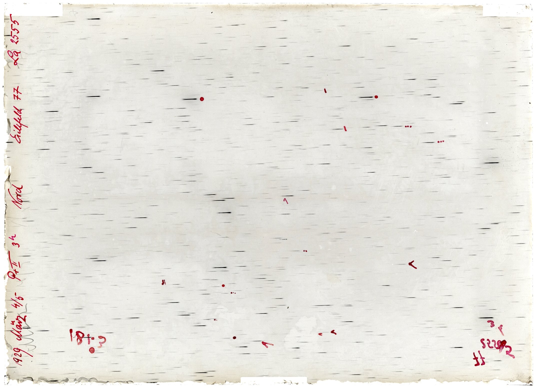 Scan LA02555