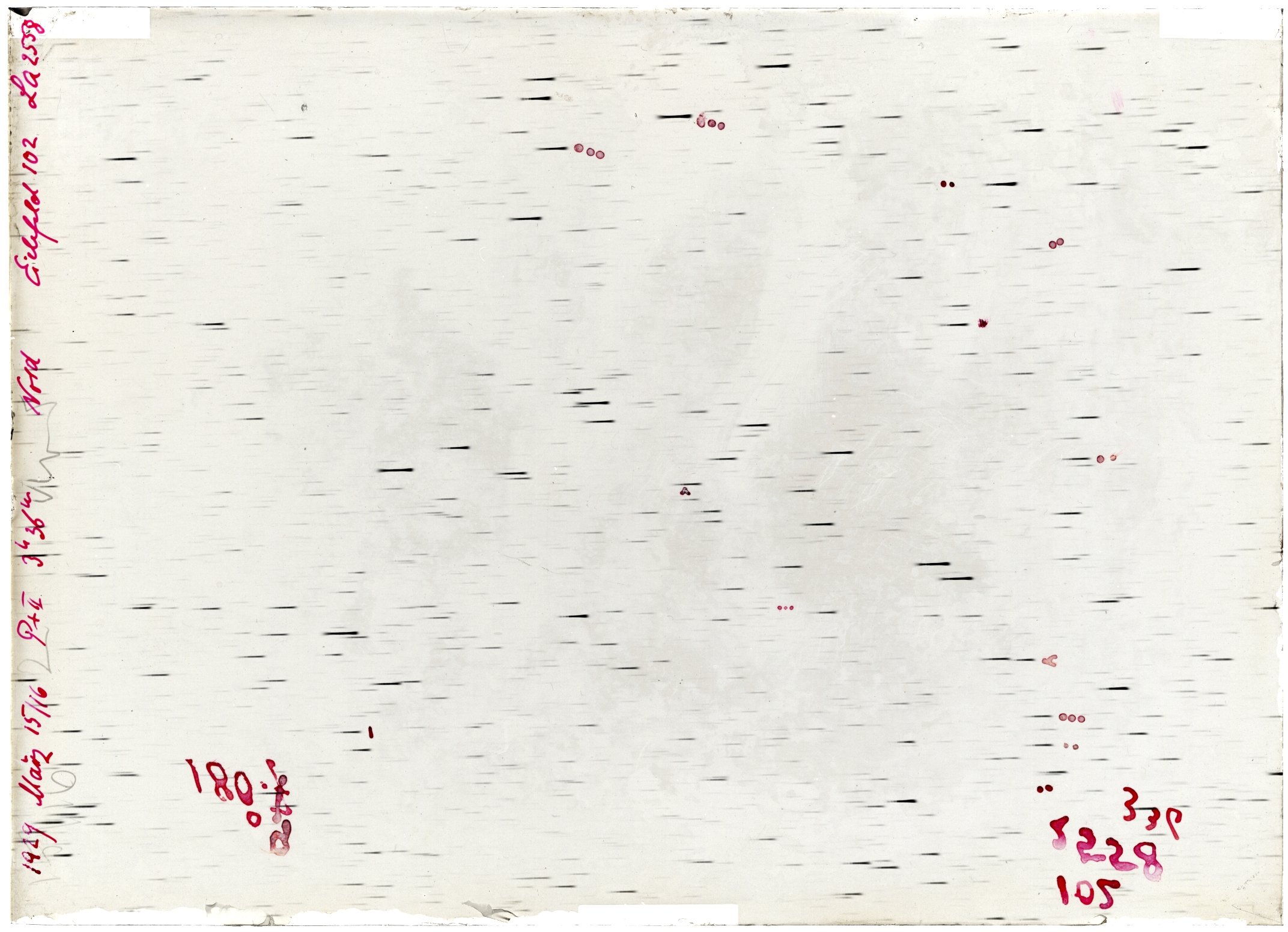 Scan LA02558