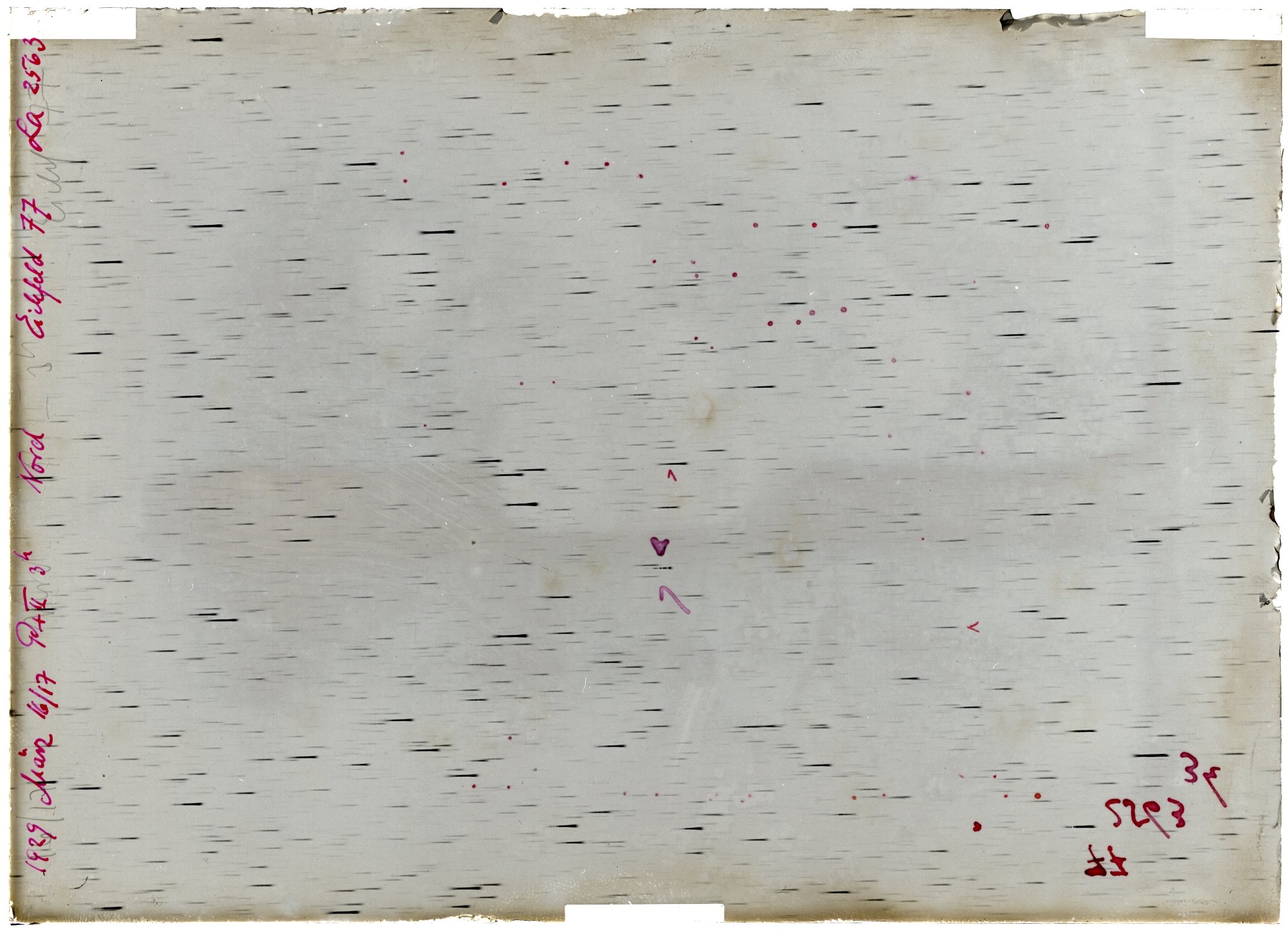 Scan LA02563