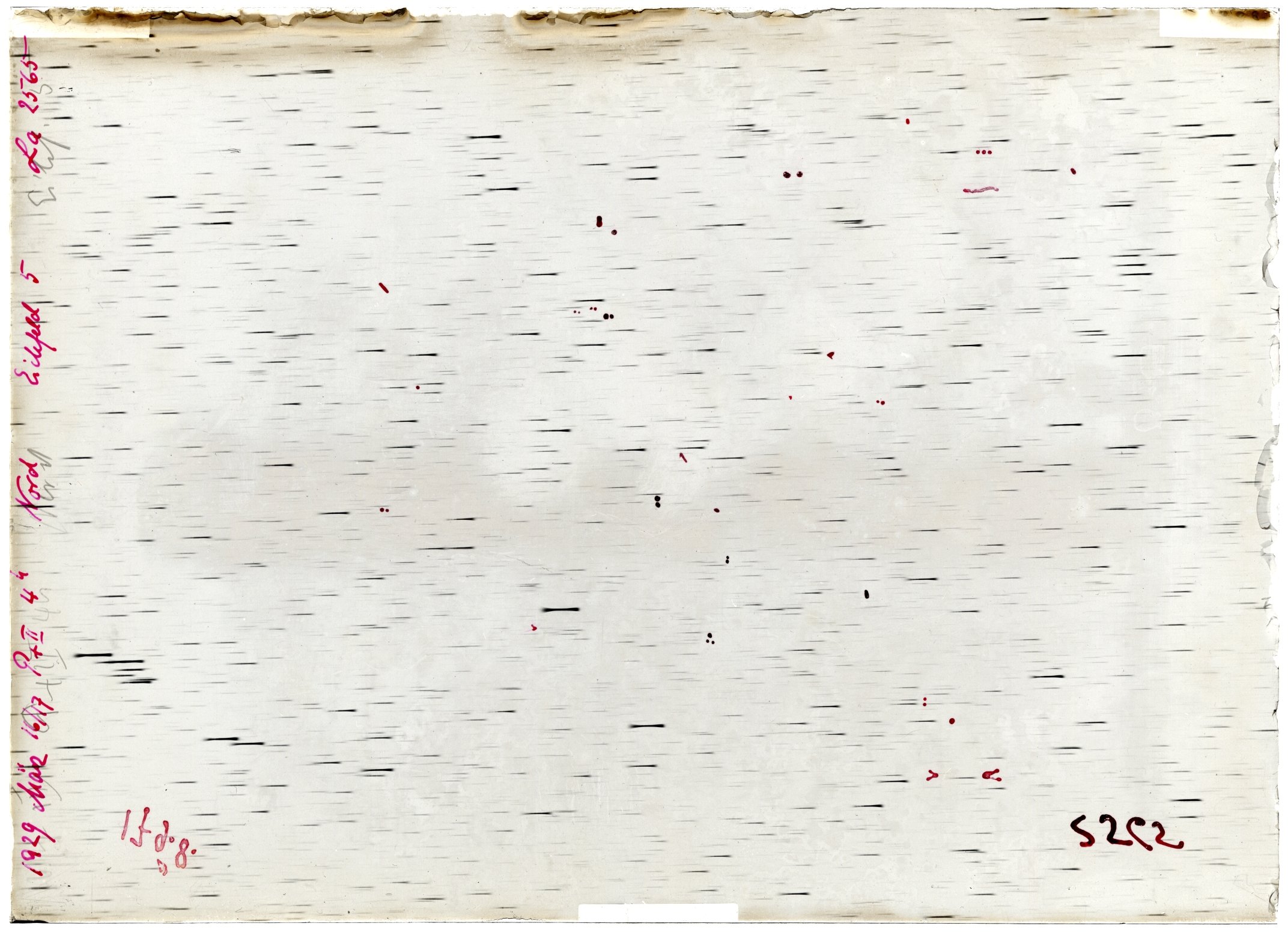 Scan LA02565