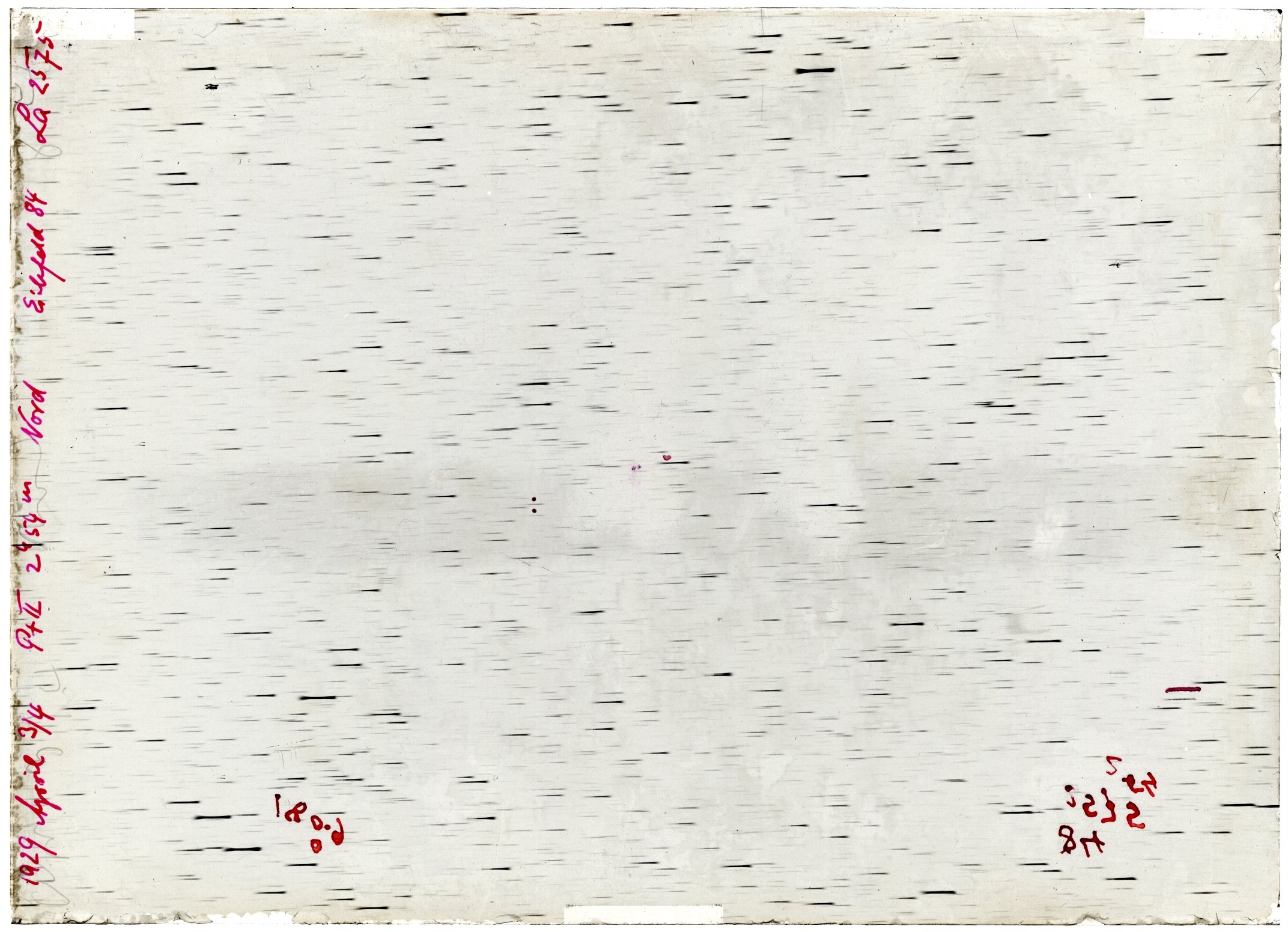 Scan LA02575