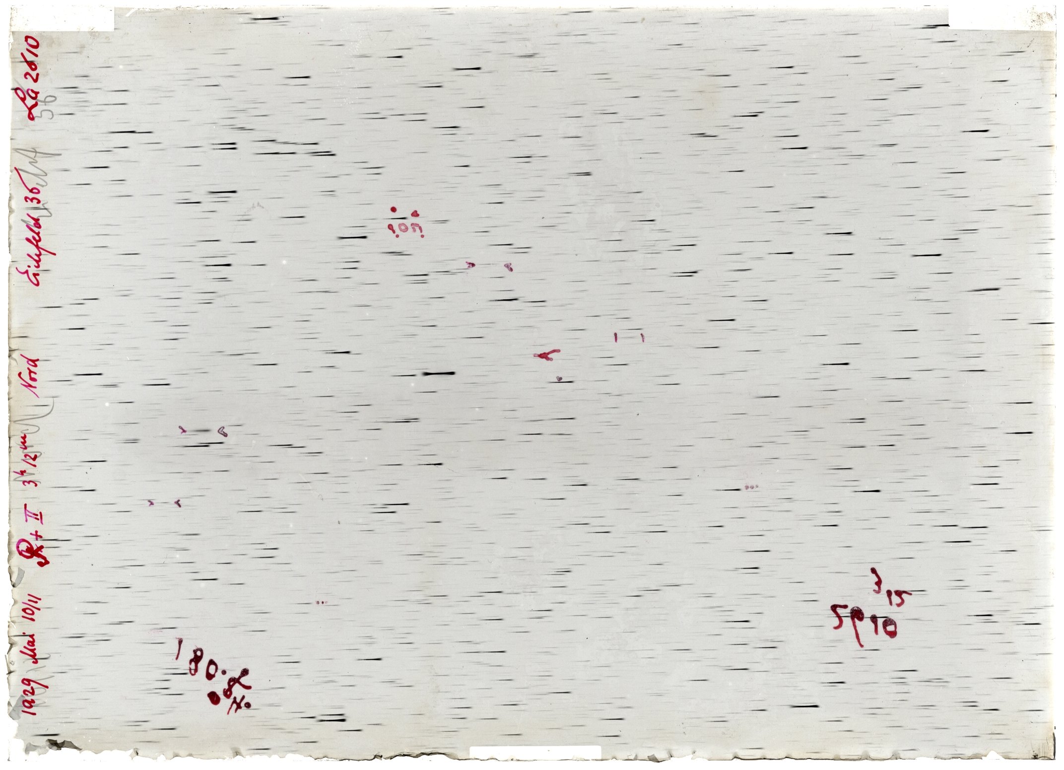 Scan LA02610